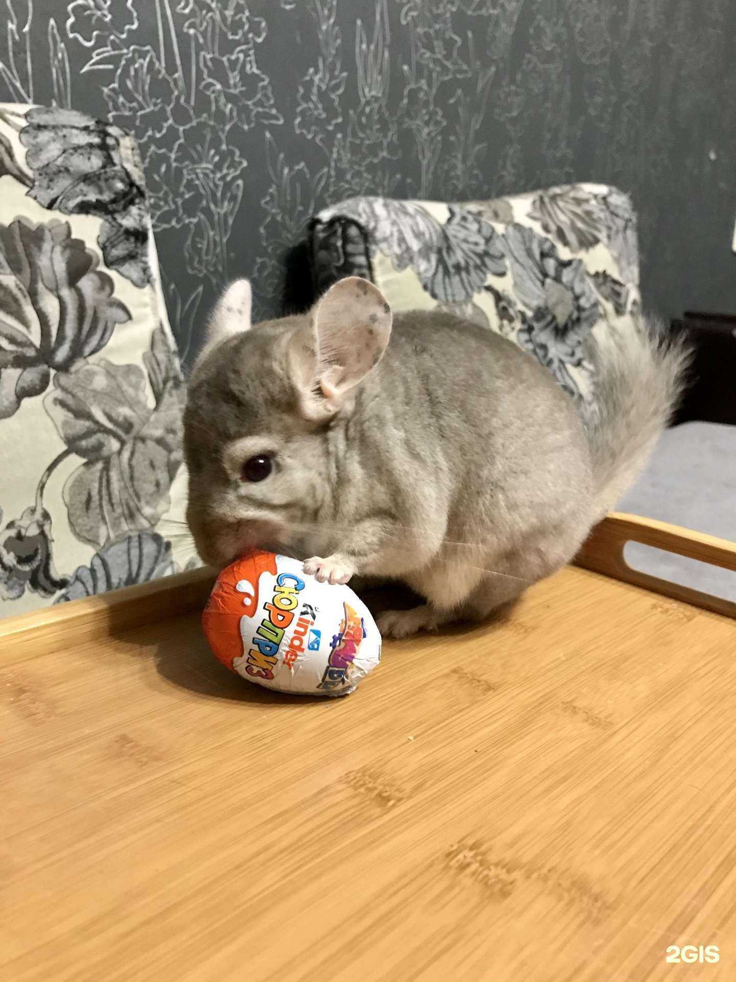 Отзывы на компанию Dr. Tomas в г. Анапа c фото