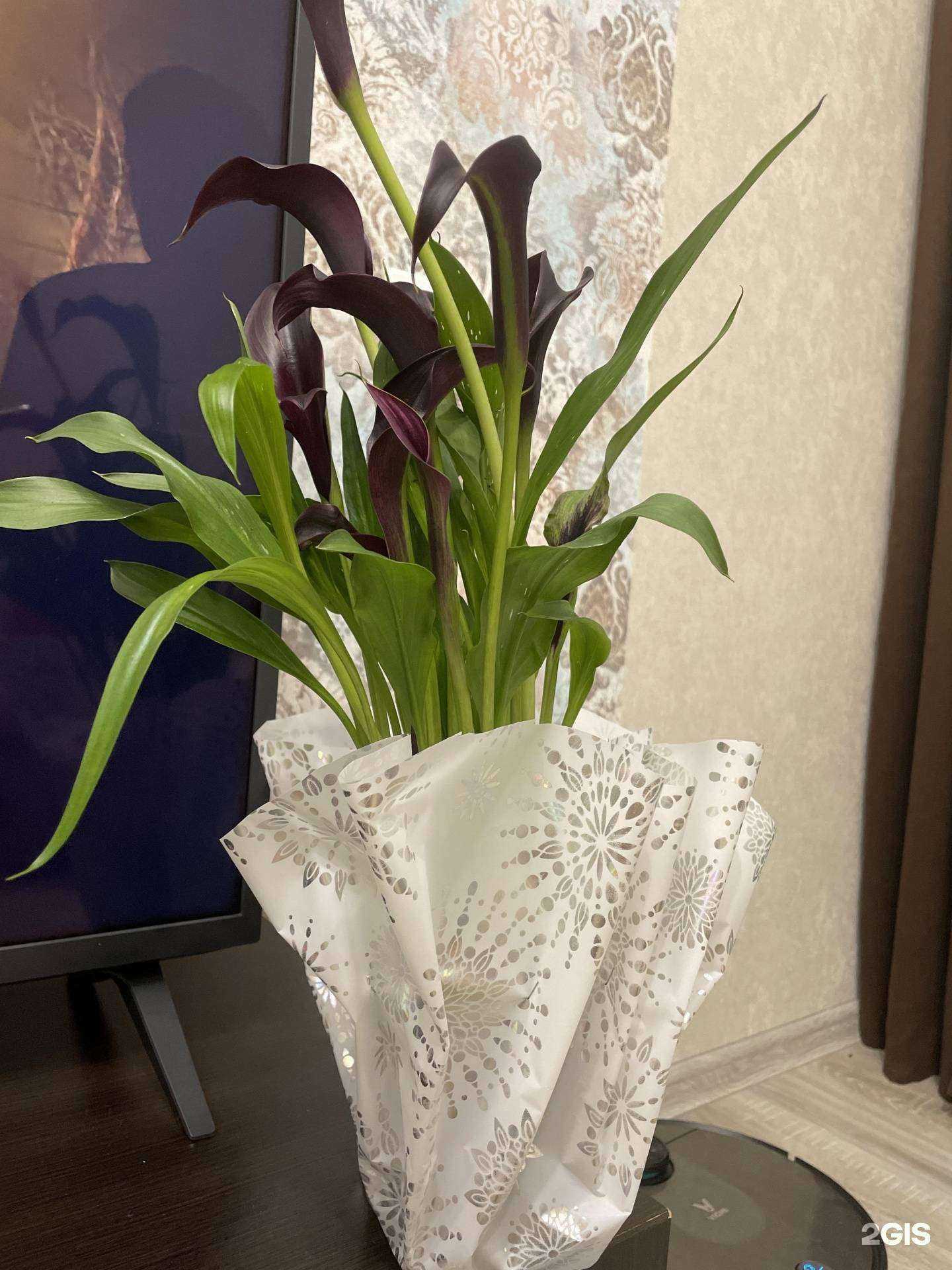 Отзывы на компанию Розанна в г. Железногорск c фото