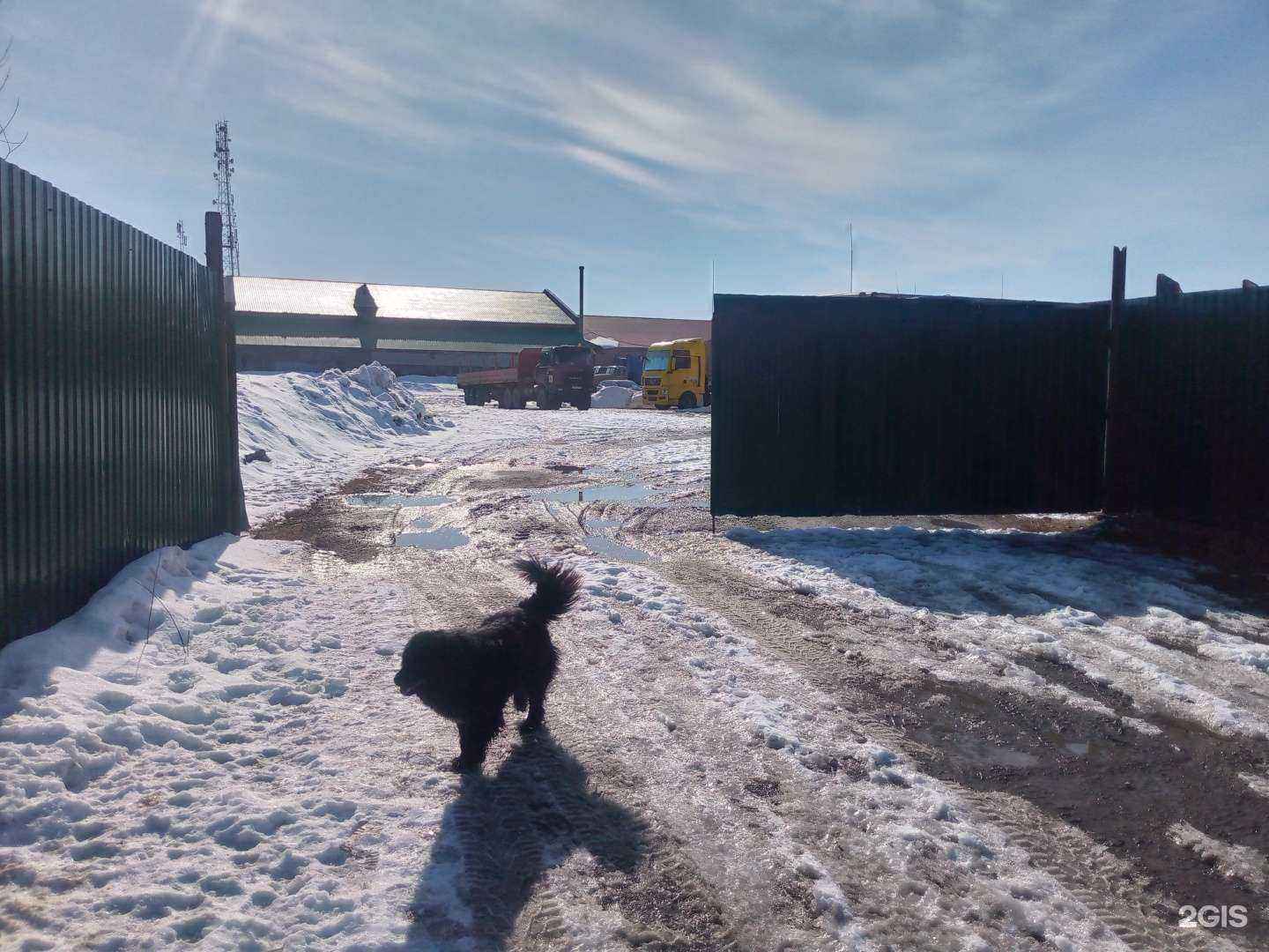 Отзывы на компанию Алмаз в Мегионе c фото