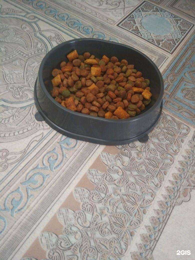 Отзывы на компанию Мир хвостатых в г. Екатеринбург c фото