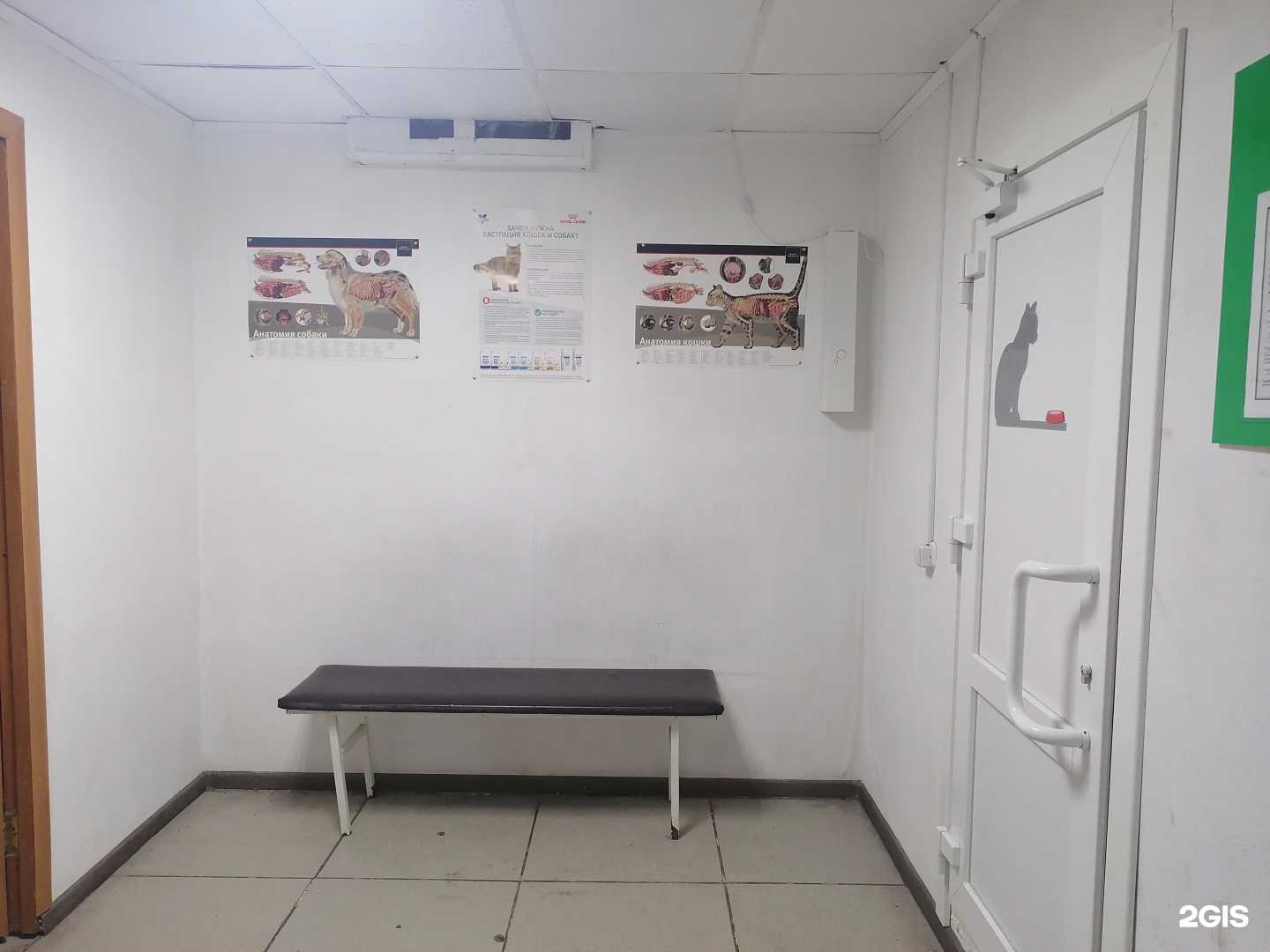 Отзывы на компанию Доктор Вет в г. Улан-Удэ c фото