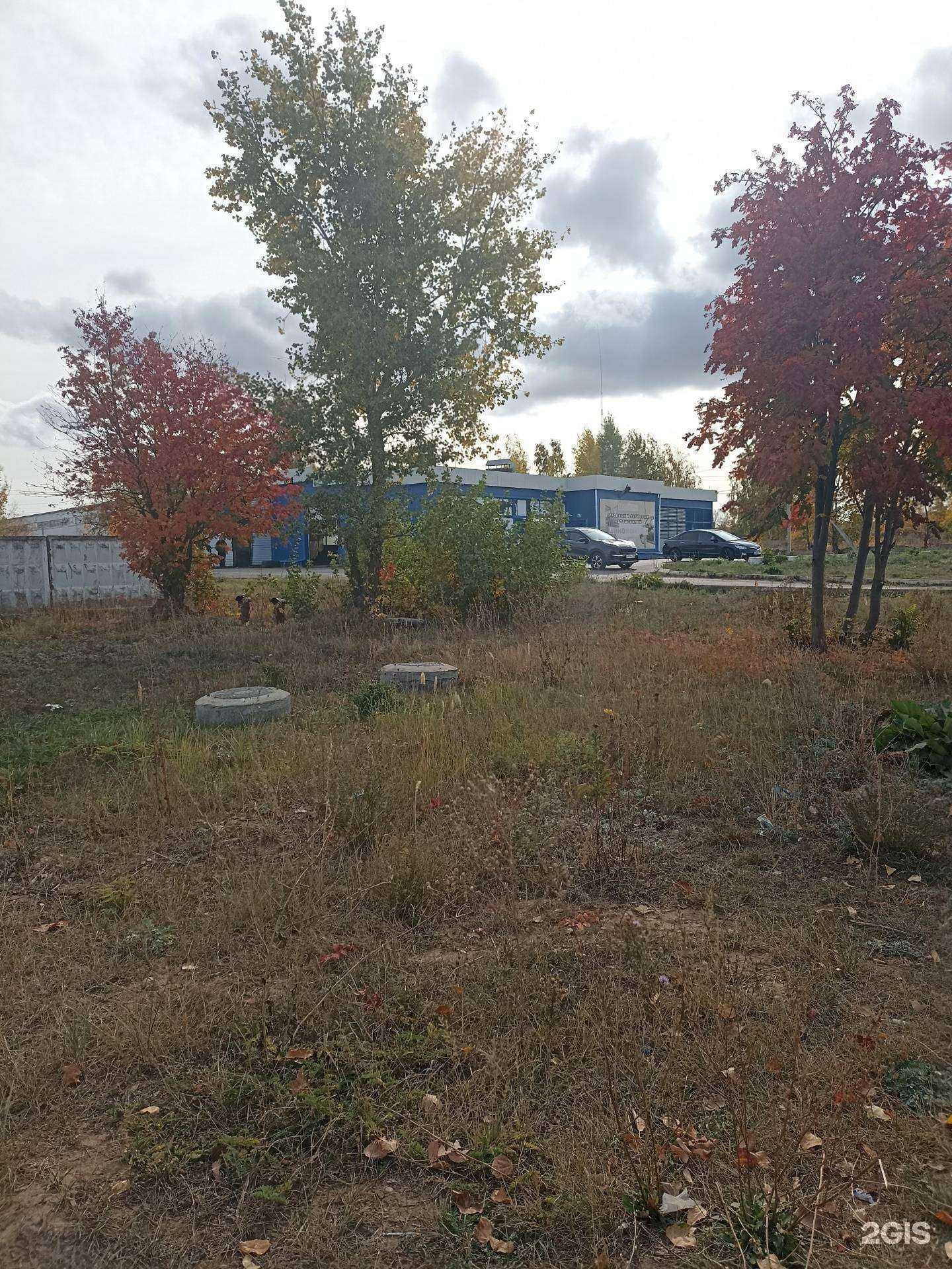 Отзывы на компанию Коралл в Елабуге c фото