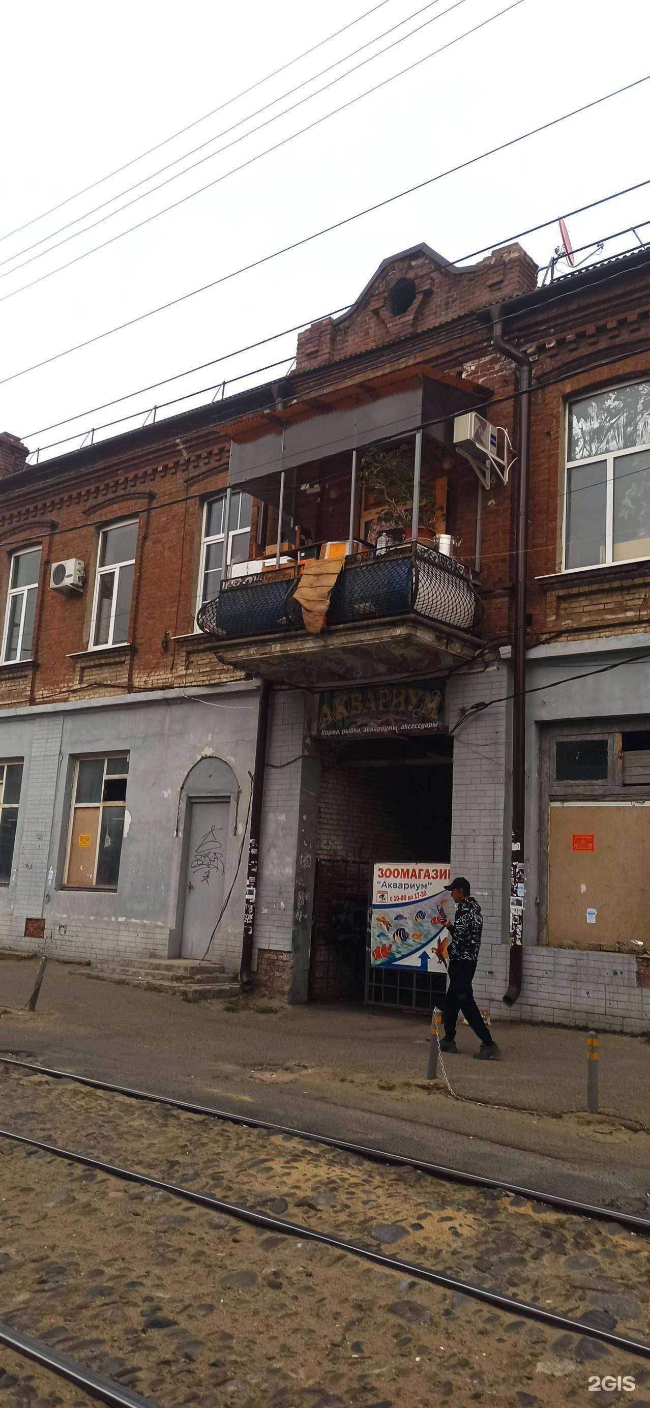 Отзывы на компанию Аквариум в Краснодаре c фото - фотография 2 из 2