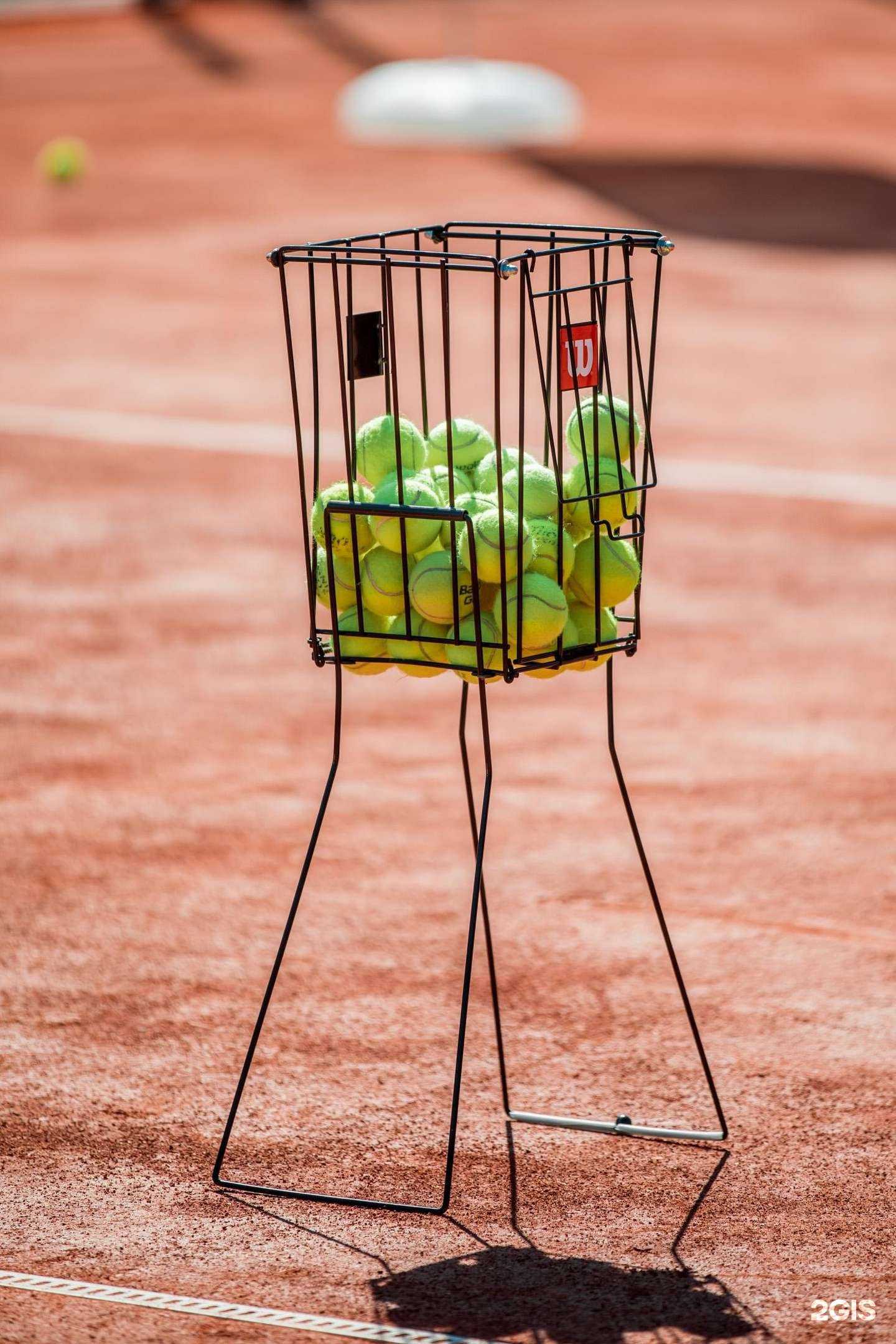 Отзывы на компанию Арена Дискавери в г. Новосибирск c фото