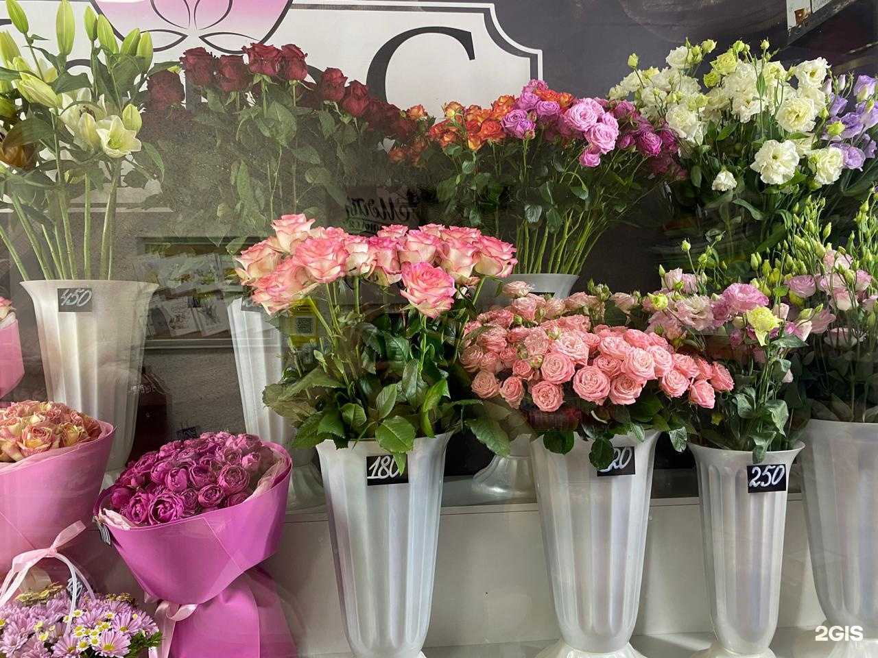 Отзывы на компанию Лотос в г. Ставрополь c фото