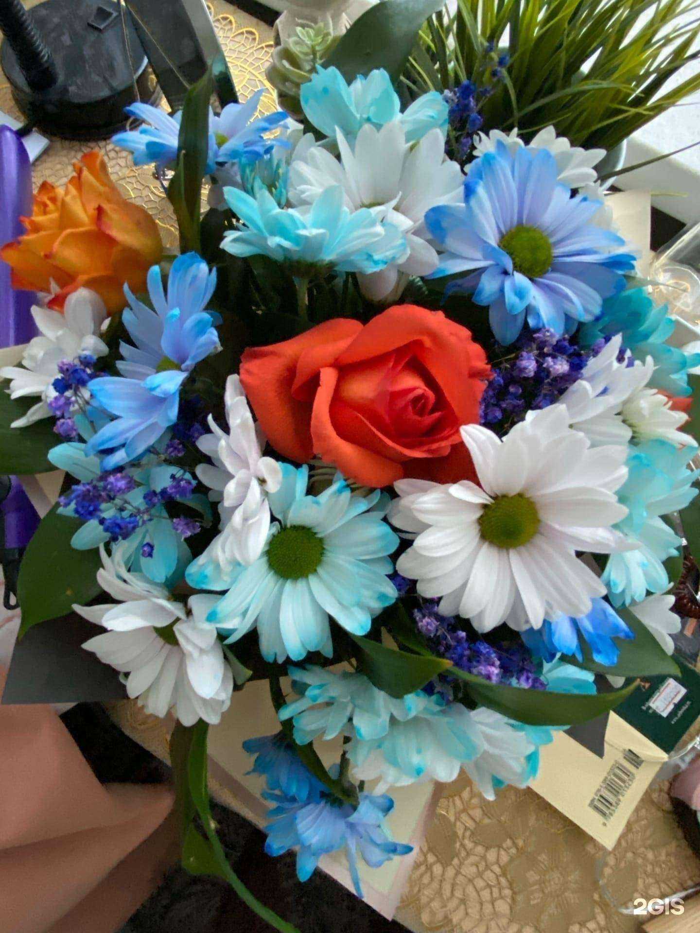Отзывы на компанию База Цветов 24 в г. Нижний Новгород c фото