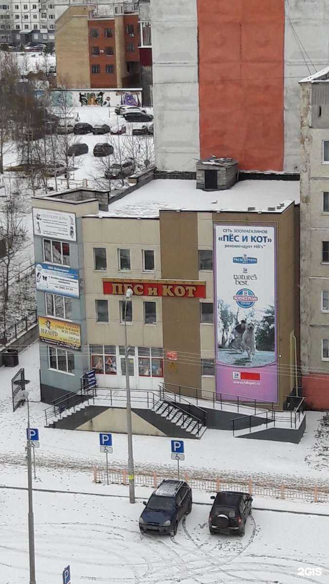 Отзывы на компанию Зооветцентр в Сургуте c фото - фотография 2 из 2