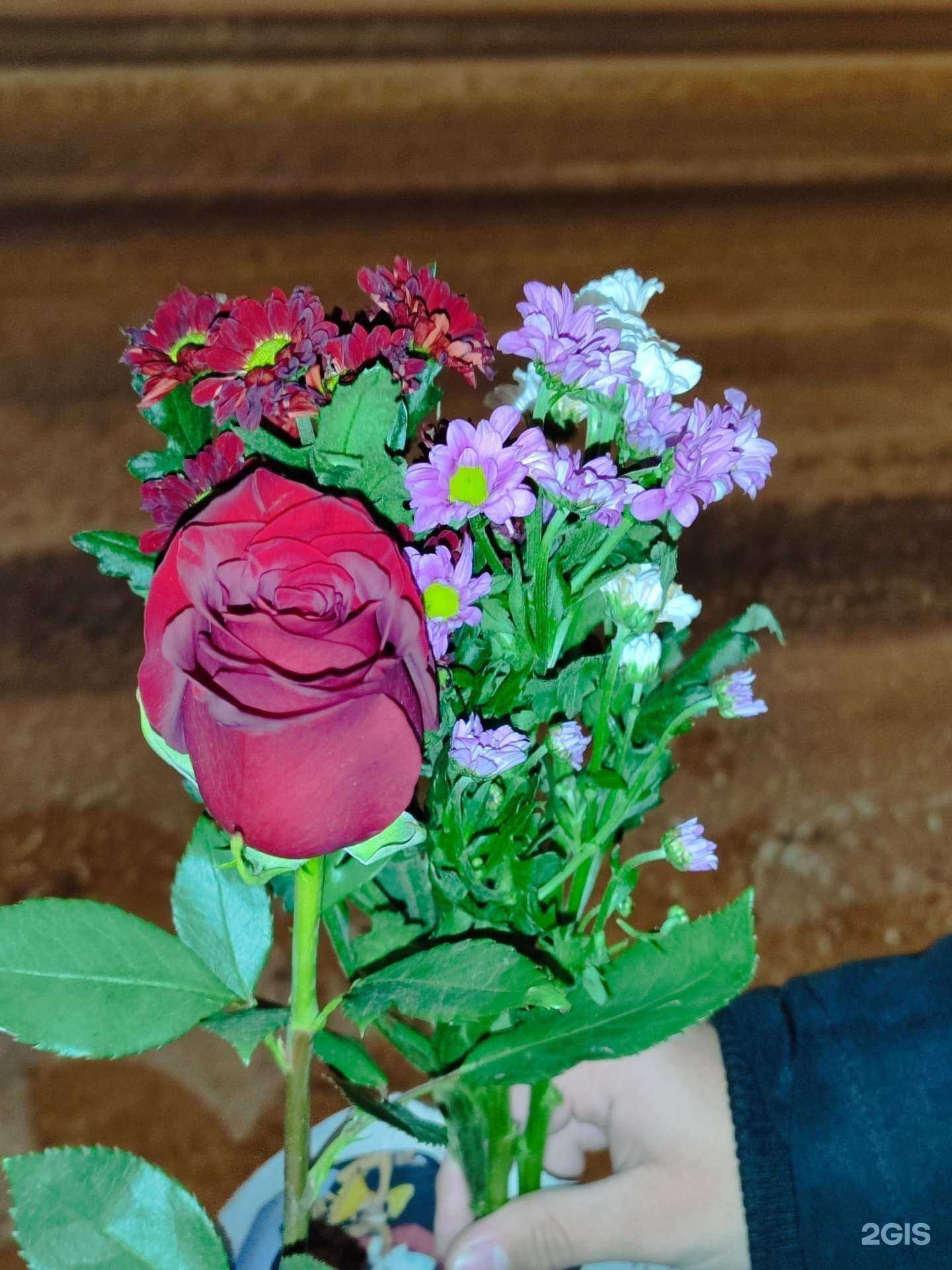 Отзывы на компанию Фиалка в Сургуте c фото