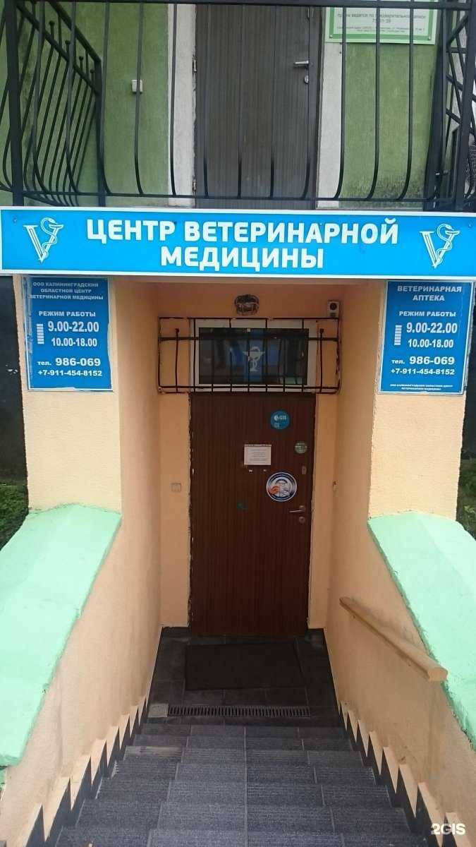 Отзывы на компанию Калининградский центр ветеринарной медицины в Калининграде c фото