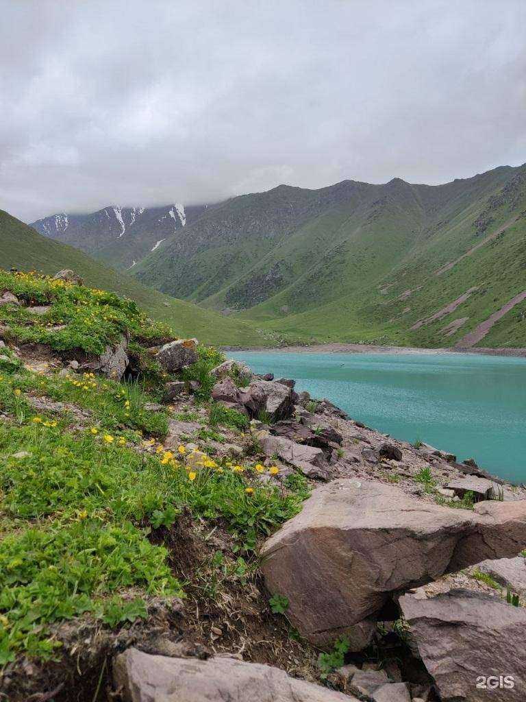 Отзывы на компанию Sibers в г. Новосибирск c фото