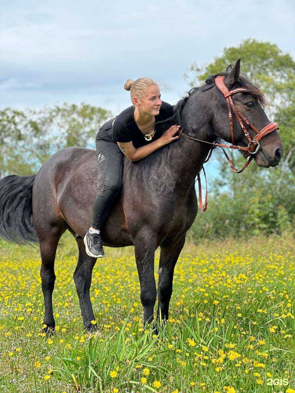 Отзывы на компанию Золотая подкова в Петропавловске-Камчатском c фото