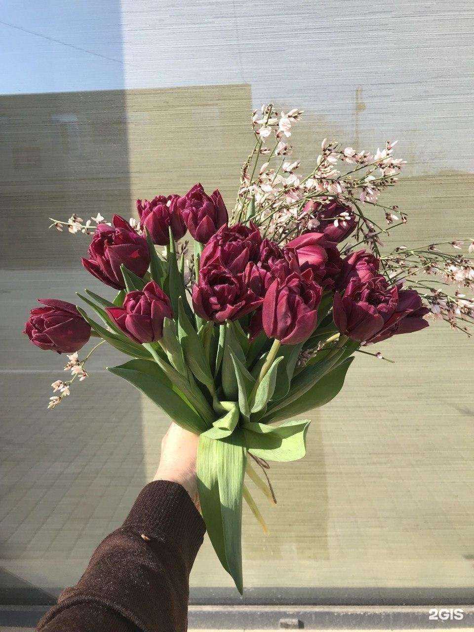 Отзывы на компанию Крапива в г. Дербент c фото