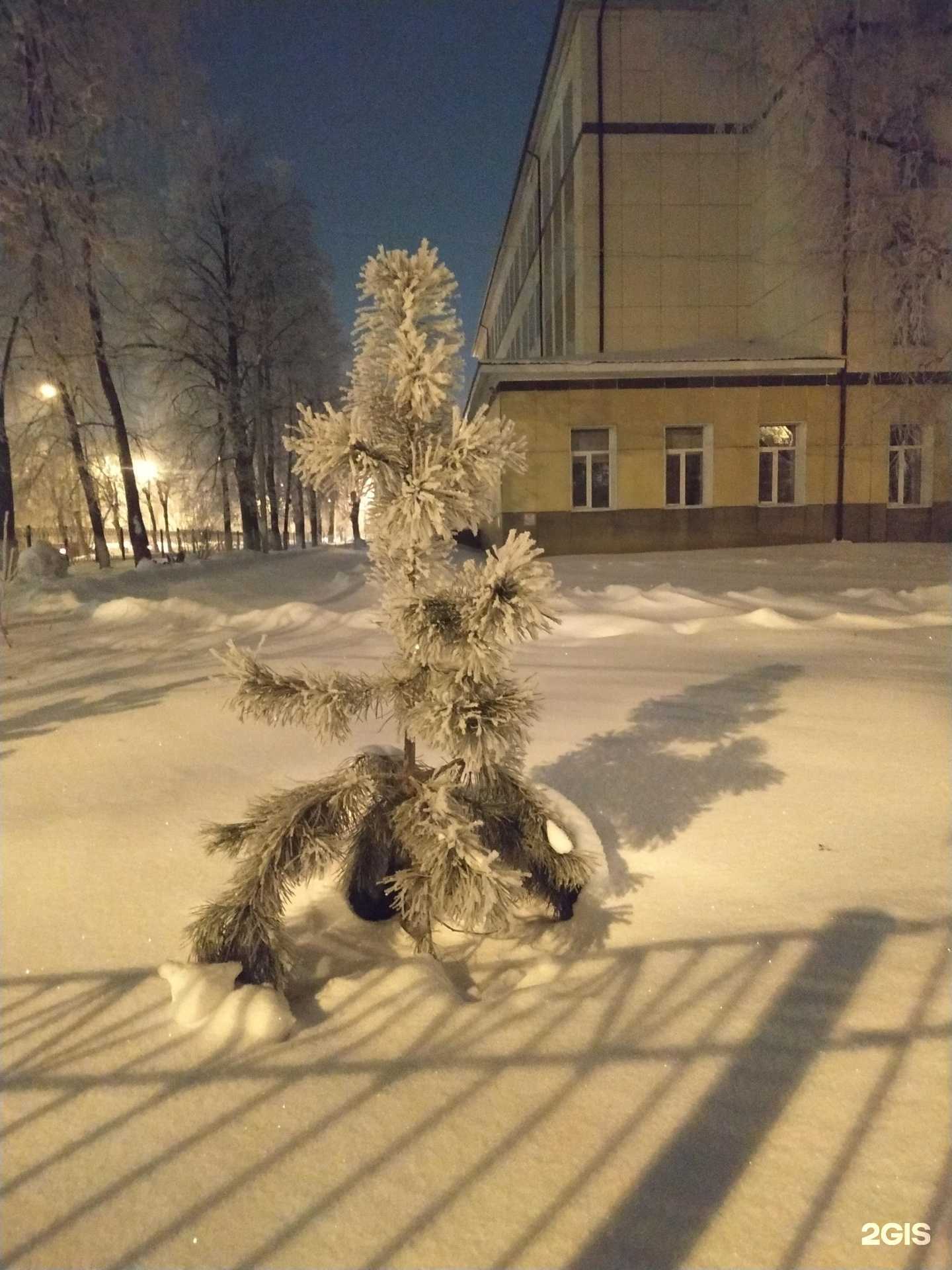 Отзывы на компанию Гимназия №6 в Перми c фото