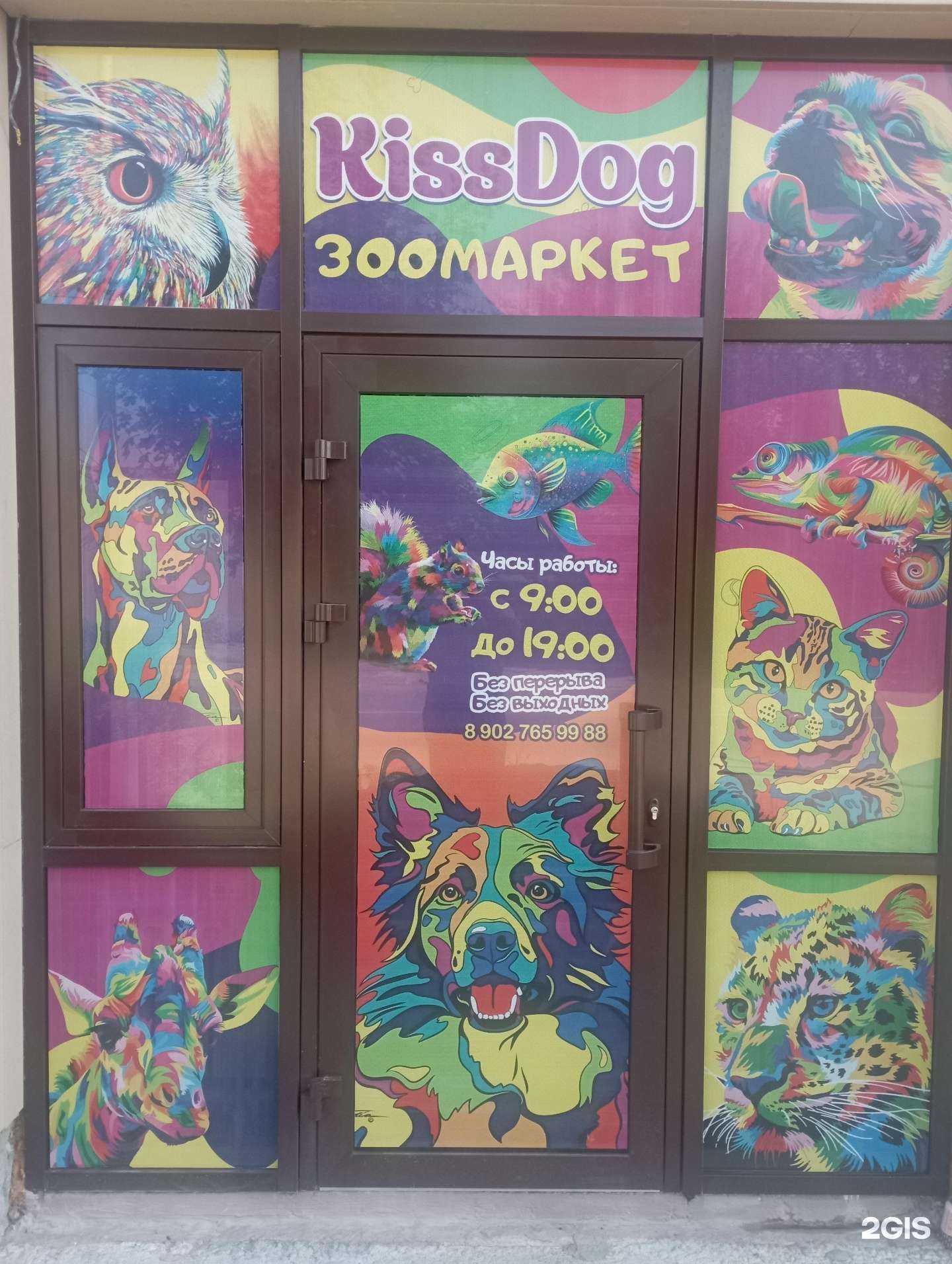 Отзывы на компанию KissDog в Ессентуках c фото