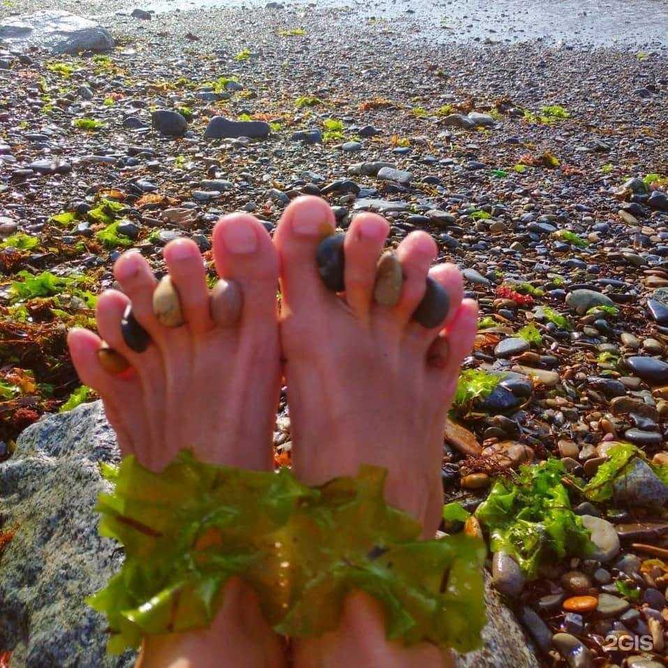 Отзывы на компанию Ума в Хабаровске c фото