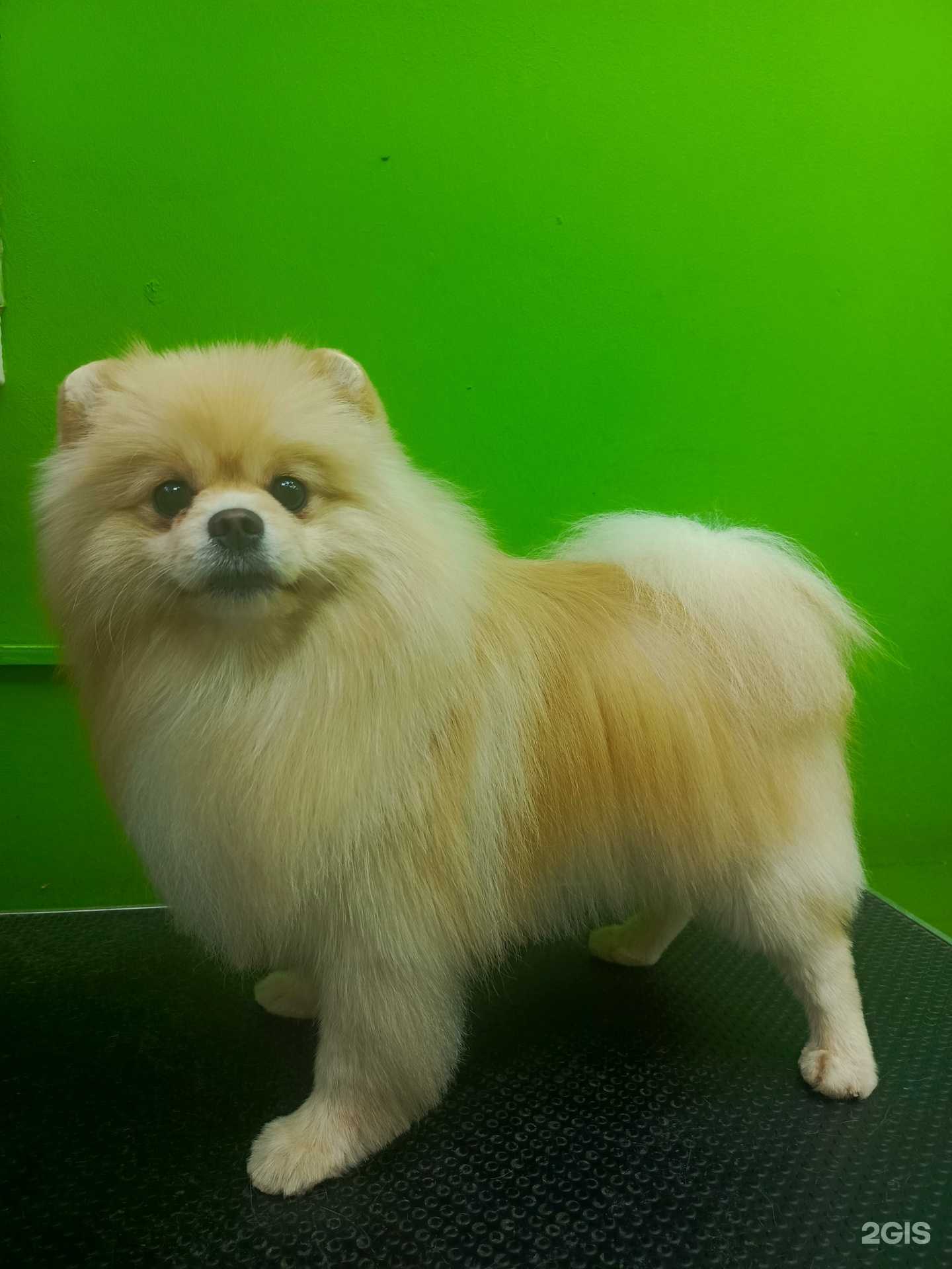 Отзывы на компанию Адель в Перми c фото