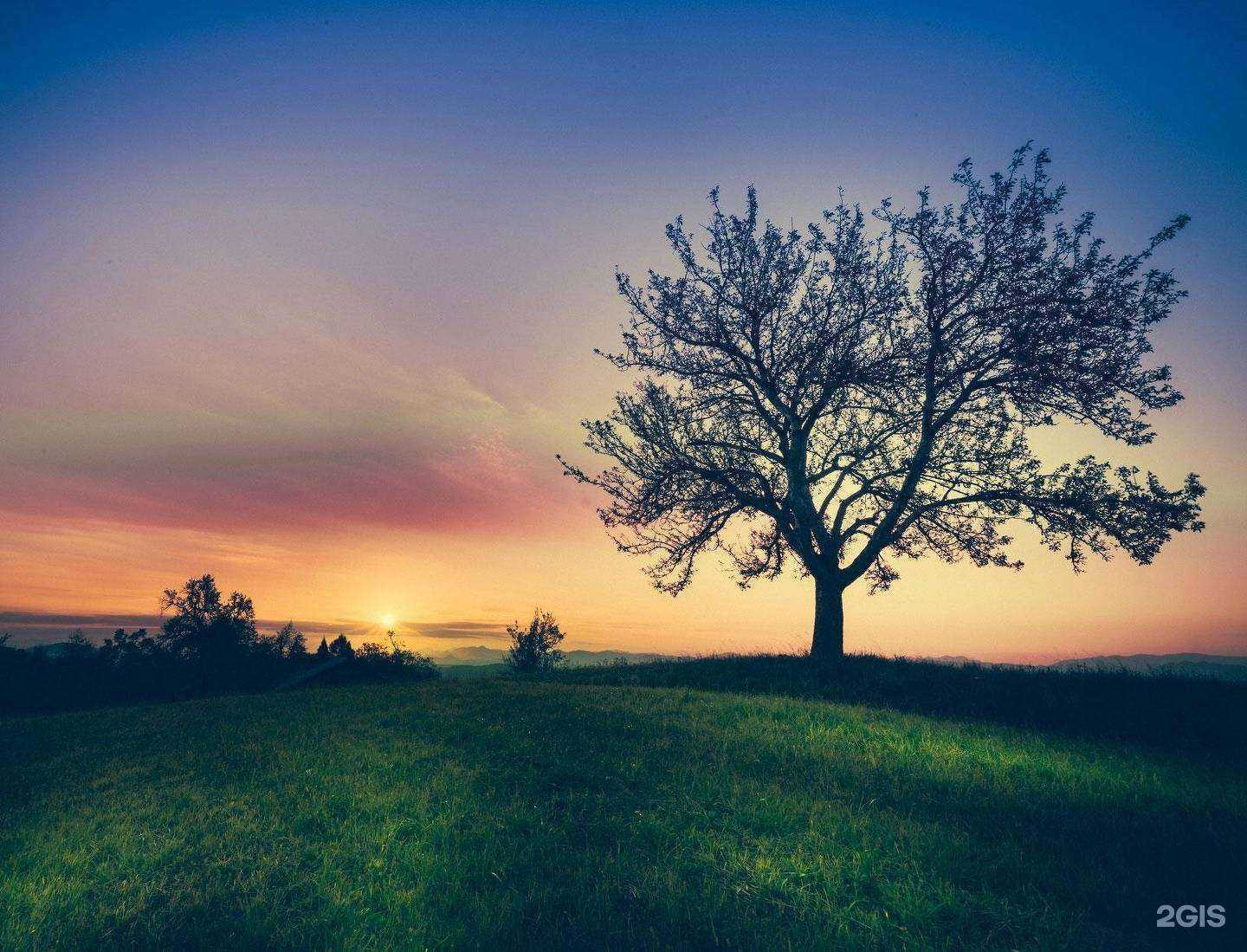 Отзывы на компанию Центр КриптоЗащиты в г. Волгоград c фото