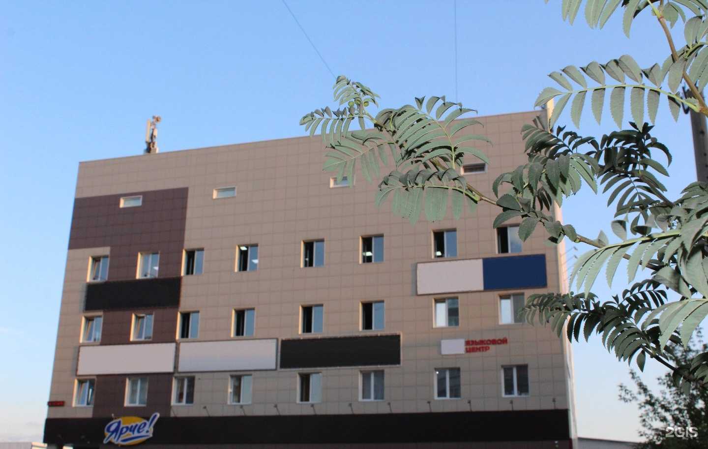 Отзывы на компанию Альбион тендер в Барнауле c фото