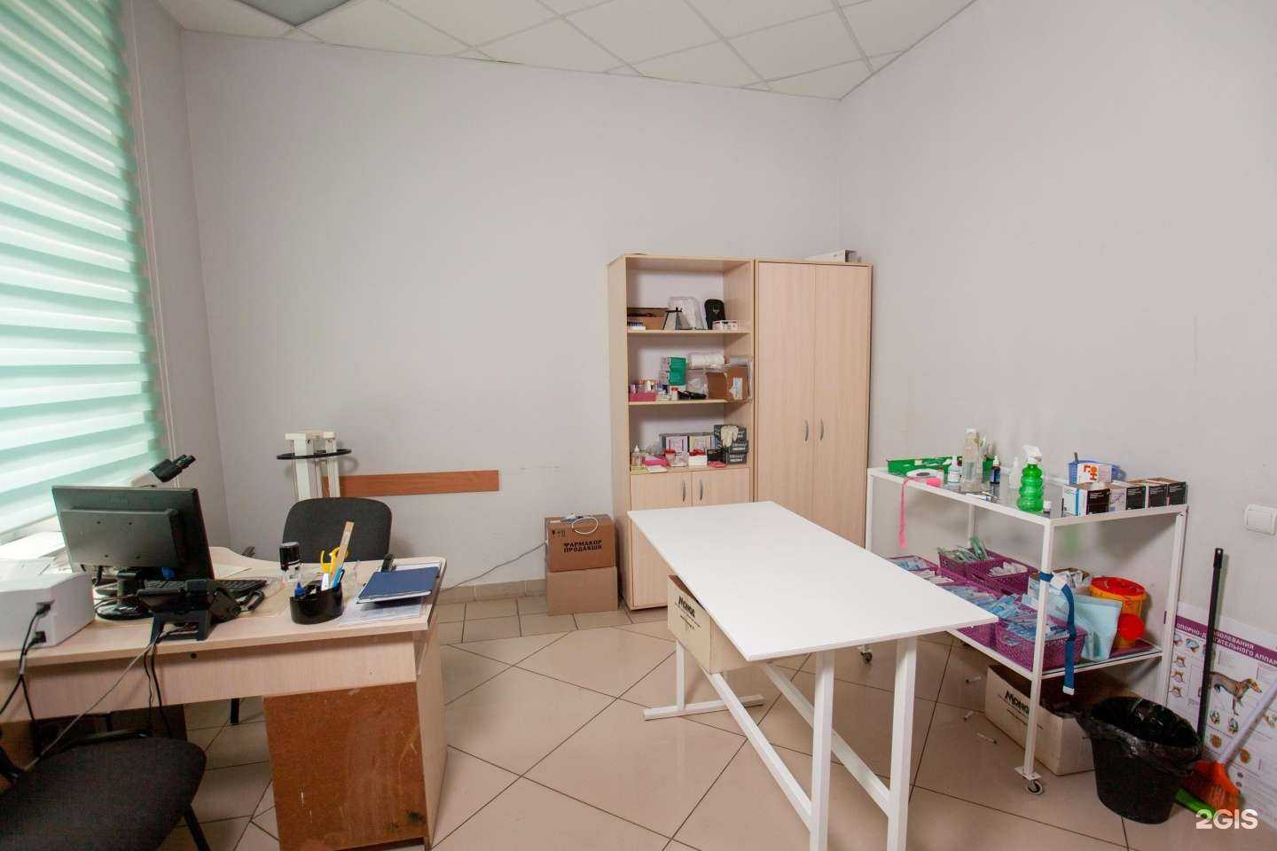 Отзывы на компанию Вета в Тамбове c фото