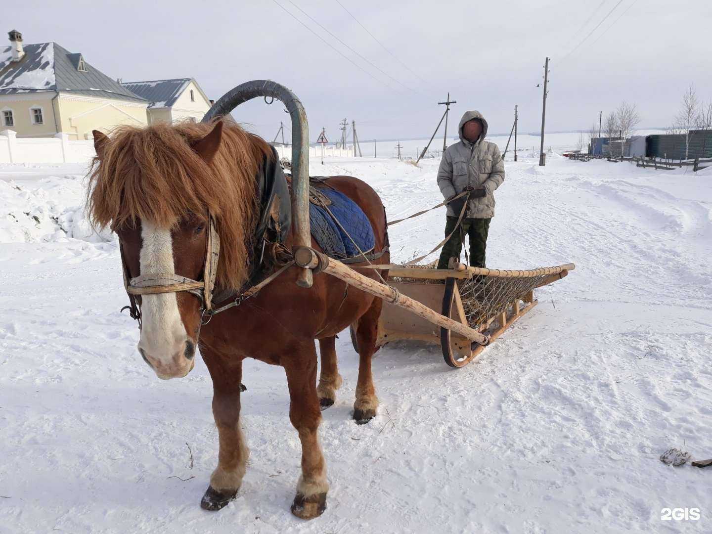 Отзывы на компанию Епархиальный реабилитационный центр для наркозависимых и алкоголезависимых во имя преподобного Серафима Саровского в Новосибирске c фото