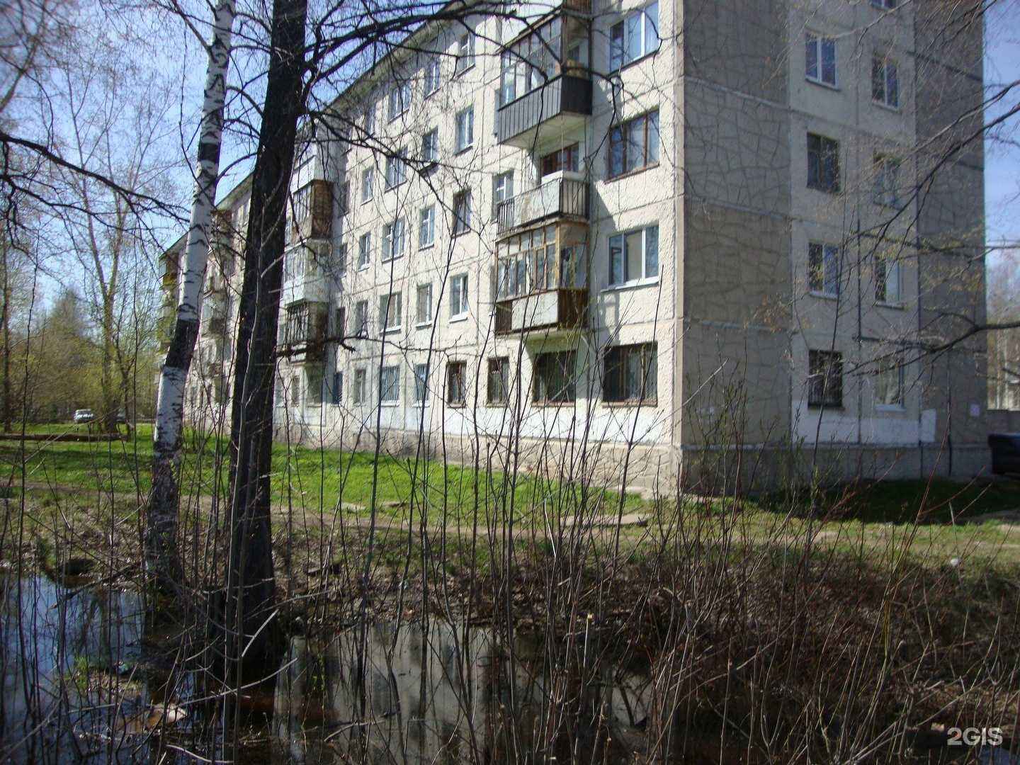 Отзывы на компанию Калейдоскоп знаний в Ижевске c фото - фотография 2 из 2