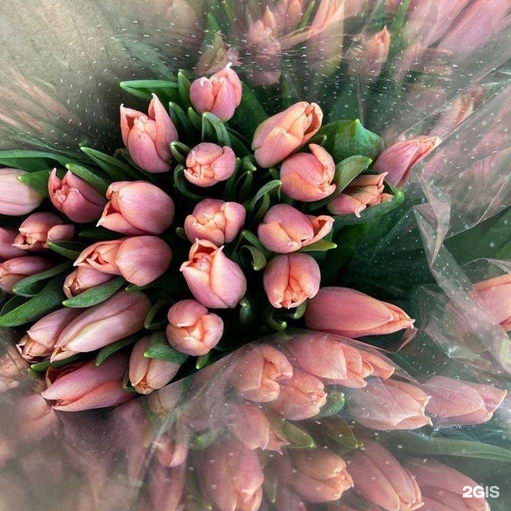 Отзывы на компанию Галерея Праздника в Павловском Посаде c фото