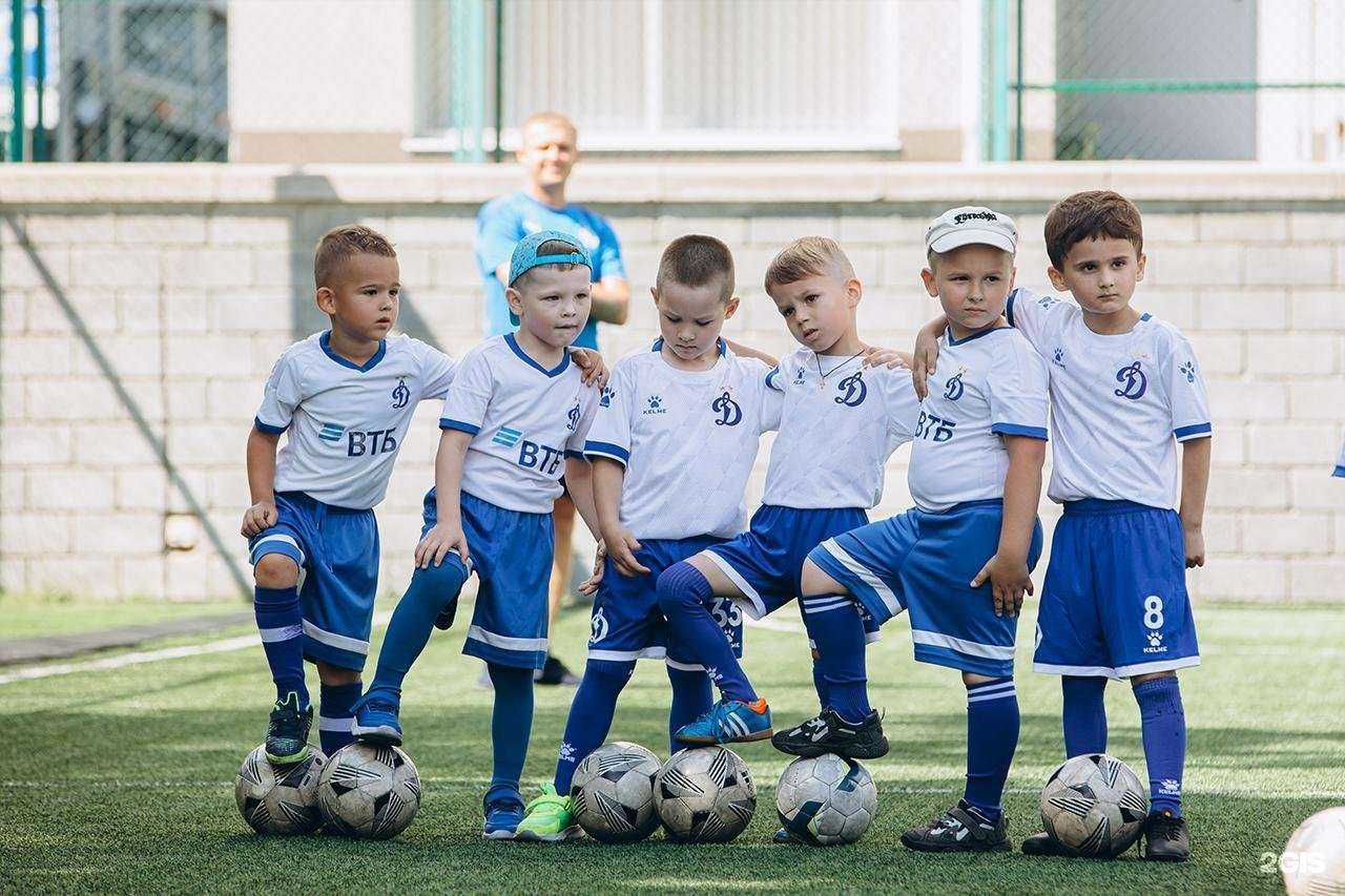 Отзывы на компанию Динамо в Белгороде c фото