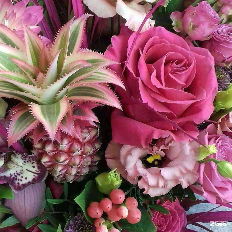 Отзывы на компанию Алира в Королёве c фото