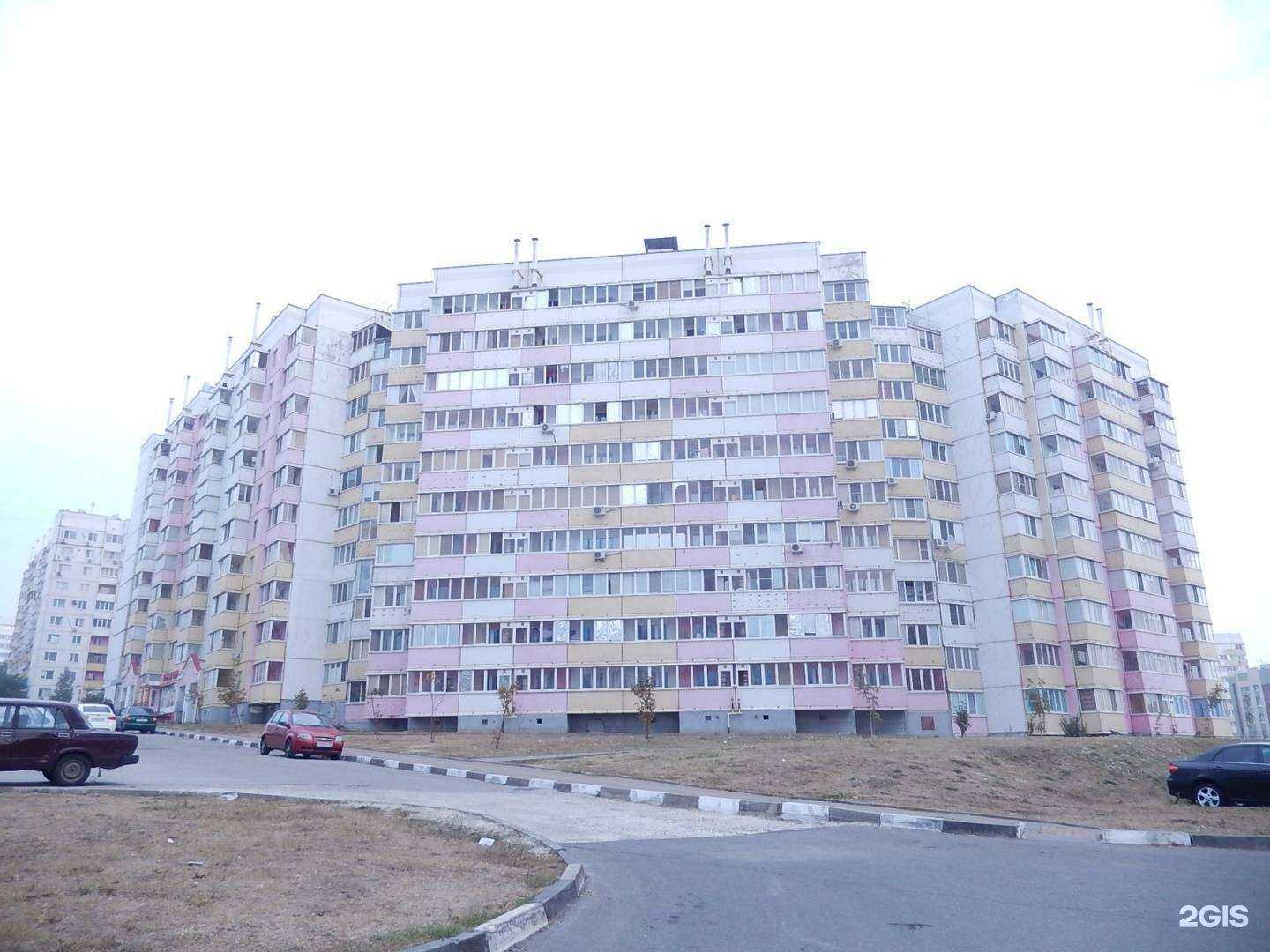 Отзывы на компанию Анжелика и Король в Белгороде c фото - фотография 2 из 2