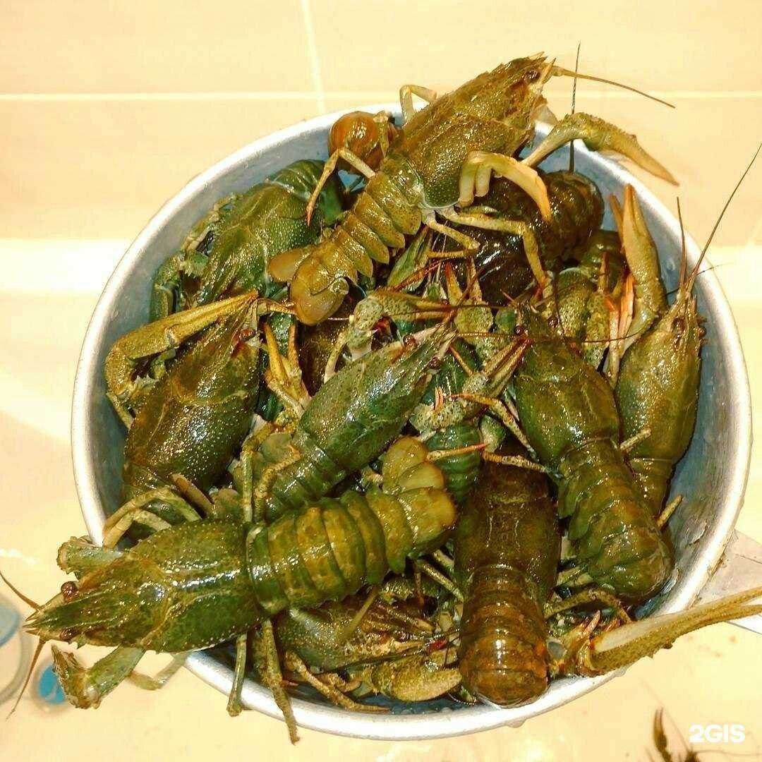 Отзывы на компанию Служба доставки раков в Сарове c фото