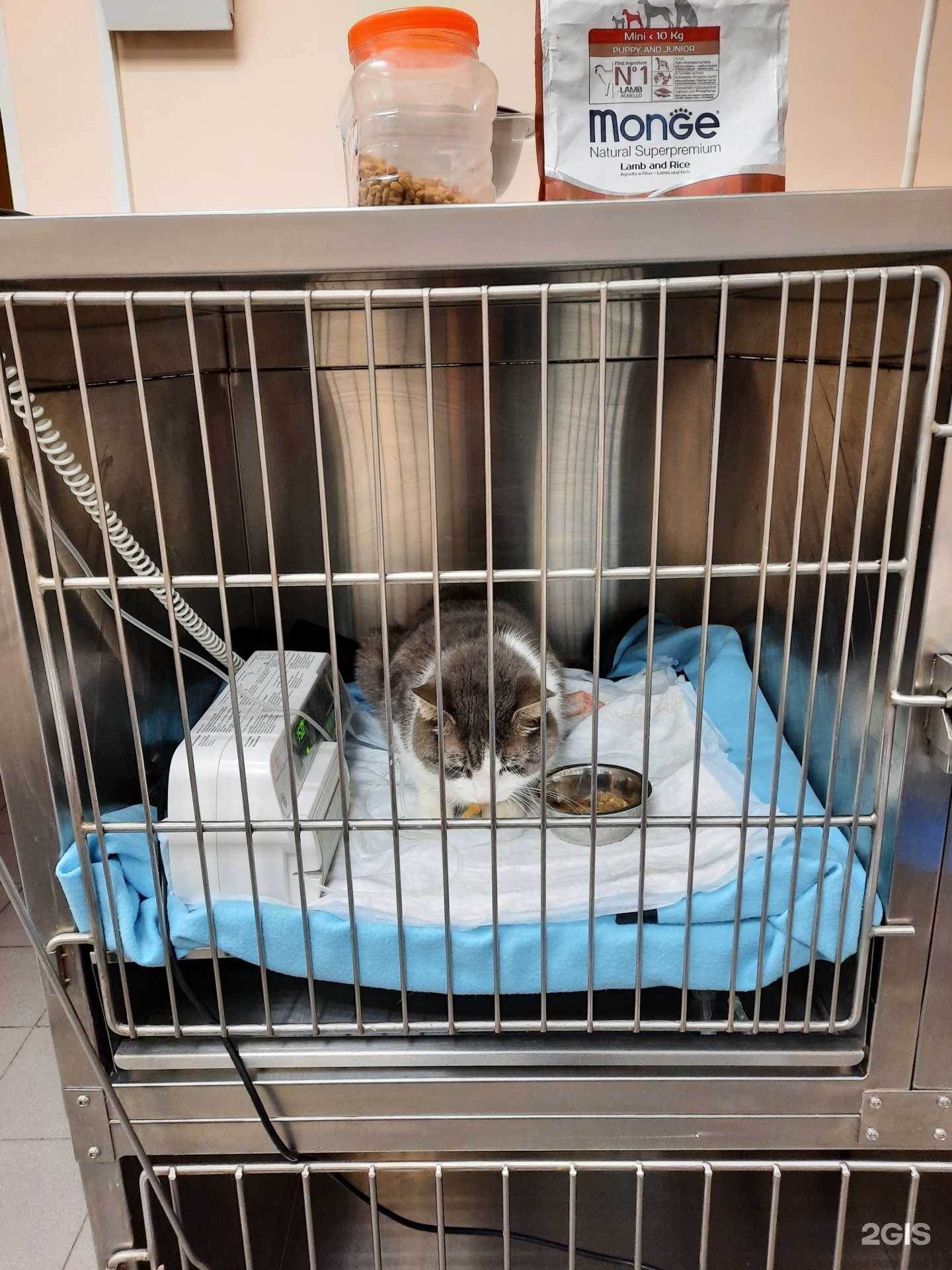 Отзывы на компанию Мурманская городская ветеринарная лечебница в Мурманске c фото