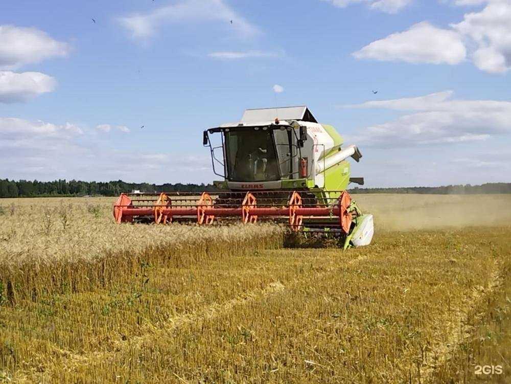 Отзывы на компанию Автотехимпорт в г. Ижевск c фото