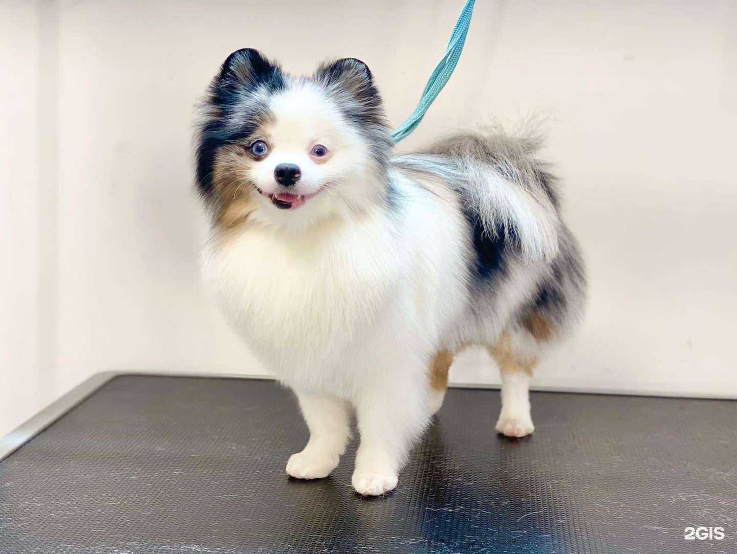 Отзывы на компанию Терра в г. Уфа c фото