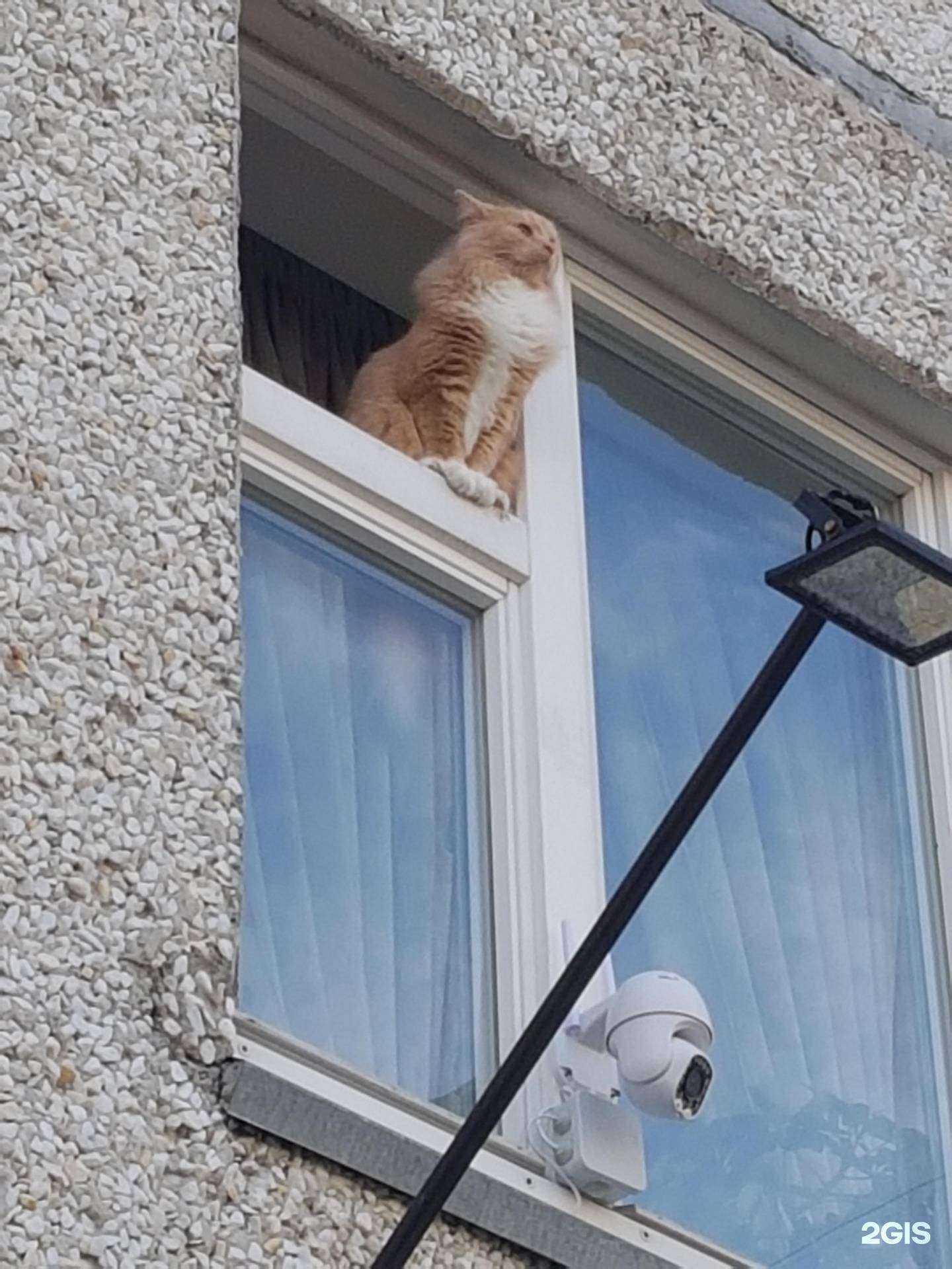 Отзывы на компанию Bliss SPA в Тюмени c фото - фотография 2 из 2