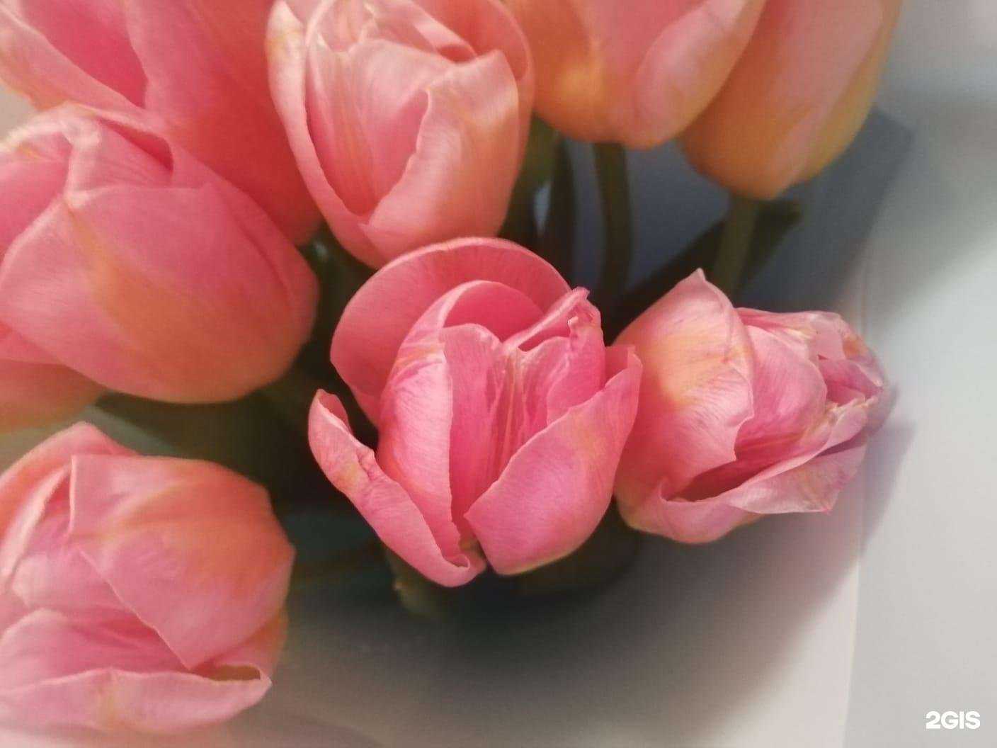 Отзывы на компанию Buketberry в Невинномысске c фото