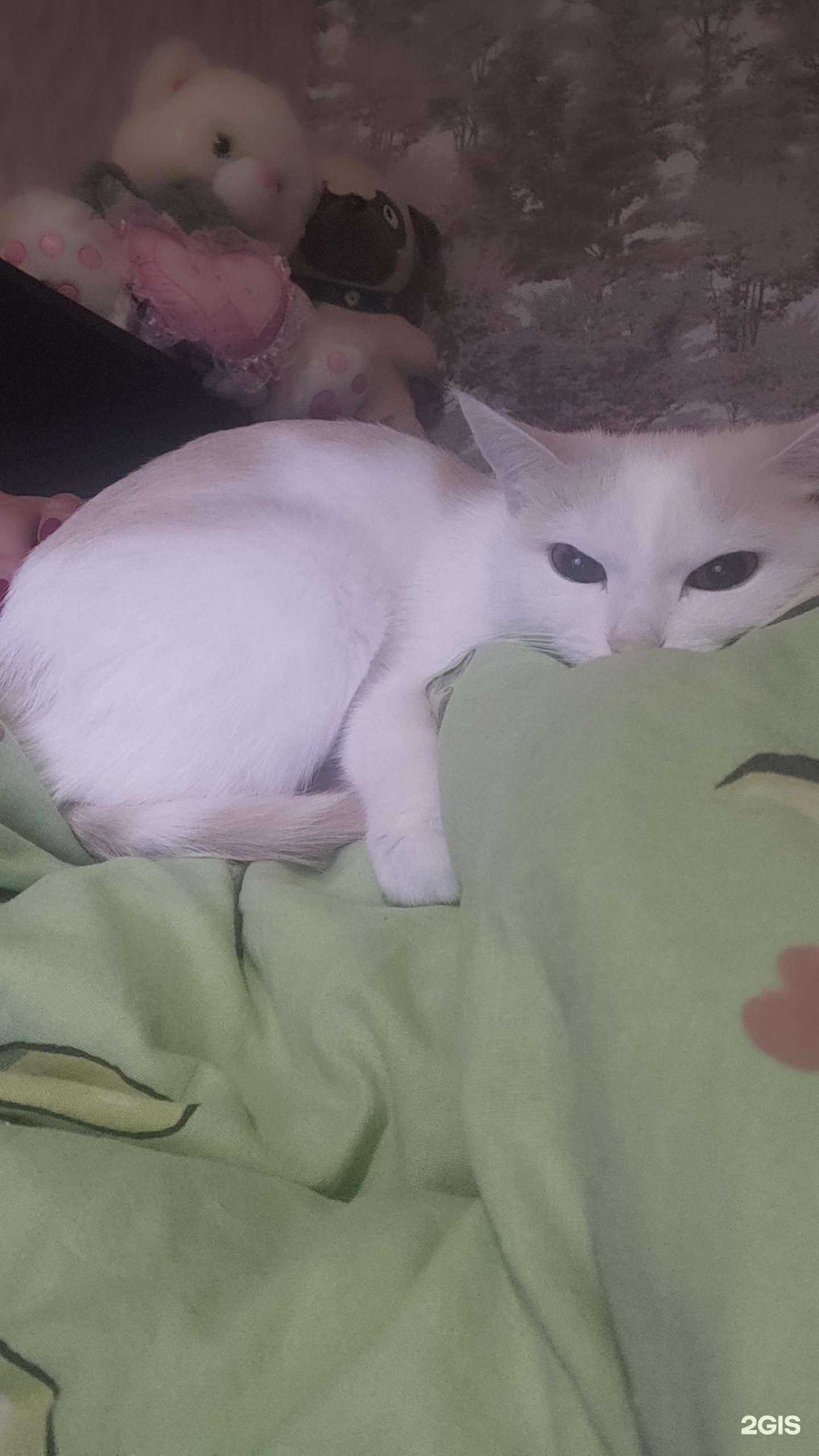 Отзывы на компанию Эдем в г. Новокузнецк c фото