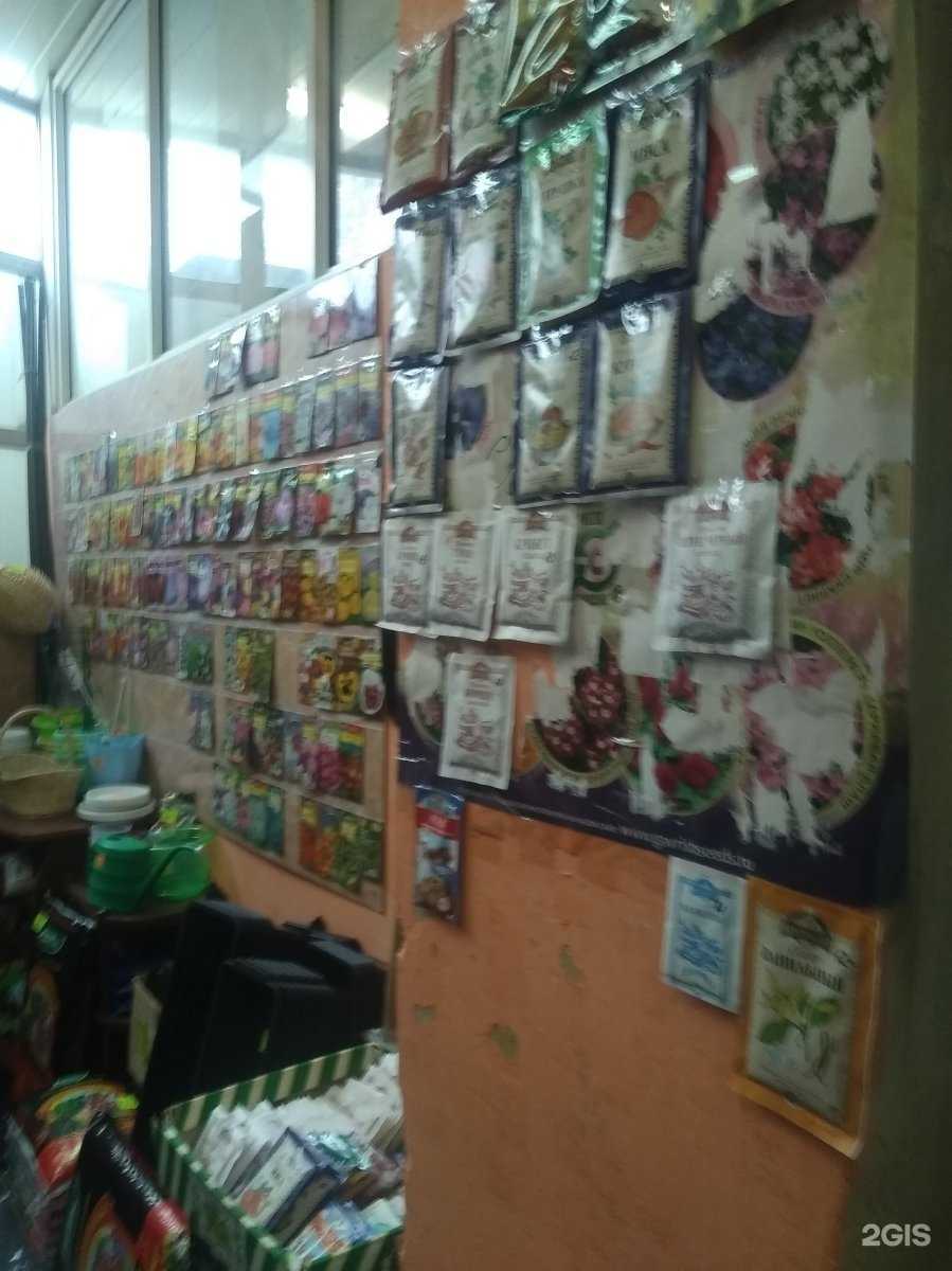 Отзывы на компанию Семянмаркет37 в г. Иваново c фото