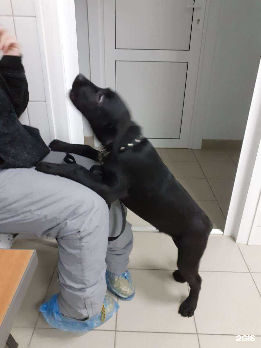 Отзывы на компанию Авет в г. Барнаул c фото