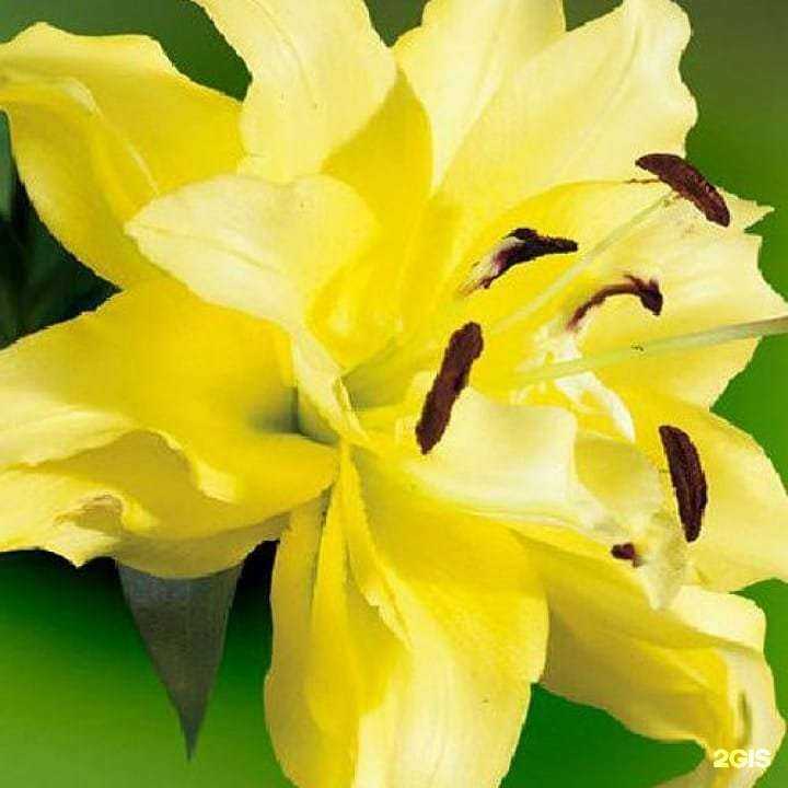 Отзывы на компанию Деметра-Самара в Самаре c фото