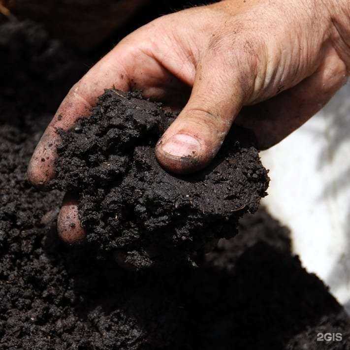 Отзывы на компанию ЛТК в Набережных Челнах c фото