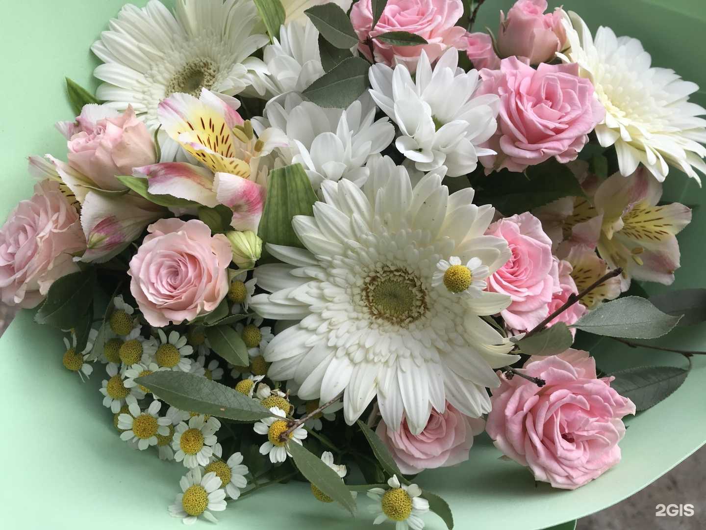 Отзывы на компанию Миасский тюльпан в г. Миасс c фото