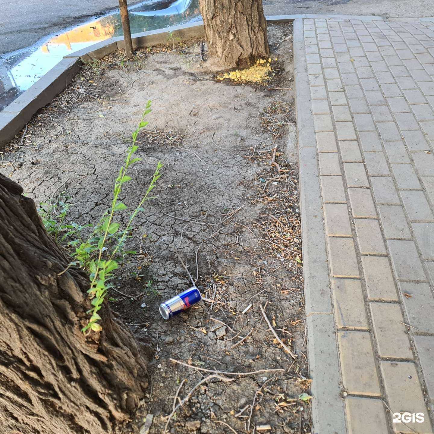 Отзывы на компанию Wonder Woman в Астрахани c фото - фотография 2 из 2