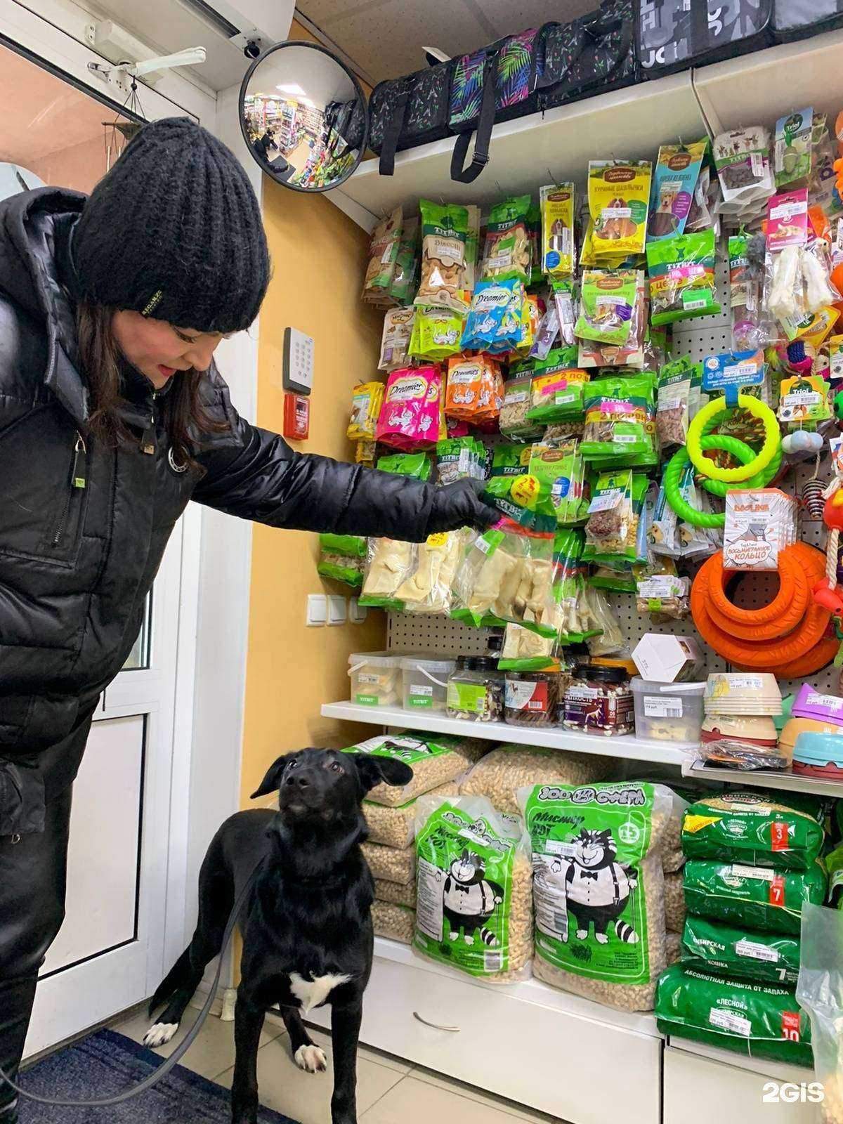 Отзывы на компанию Какаду в г. Екатеринбург c фото