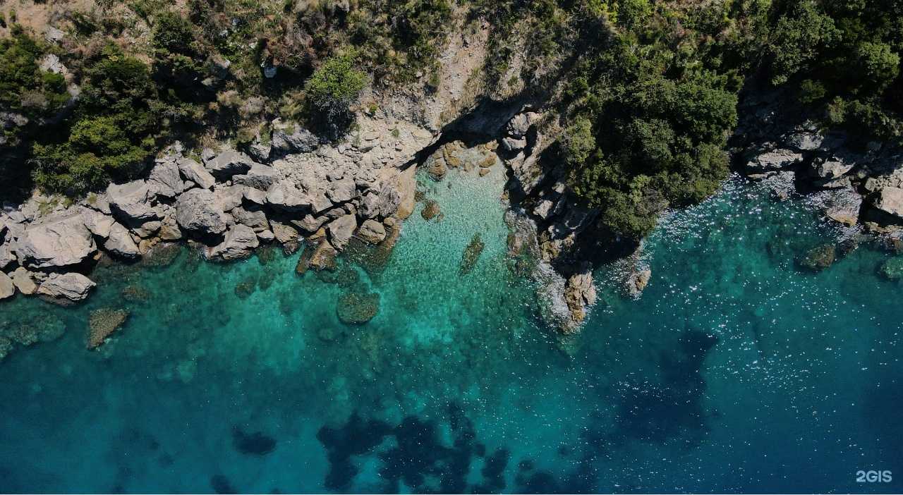 Отзывы на компанию Pro travel в Краснодаре c фото