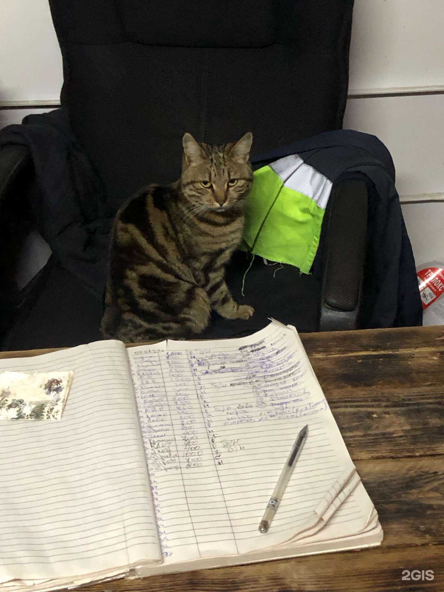 Отзывы на компанию FreshAuto в Владивостоке c фото