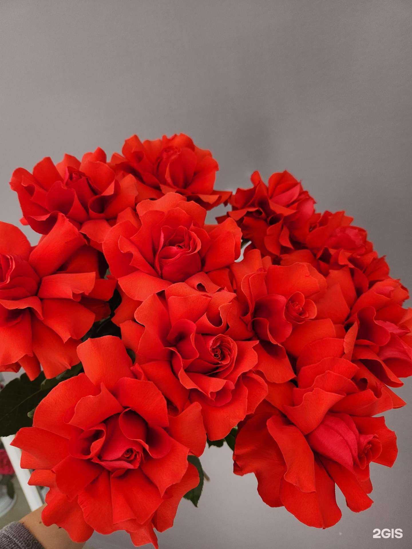 Отзывы на компанию Бьянка в Находке c фото