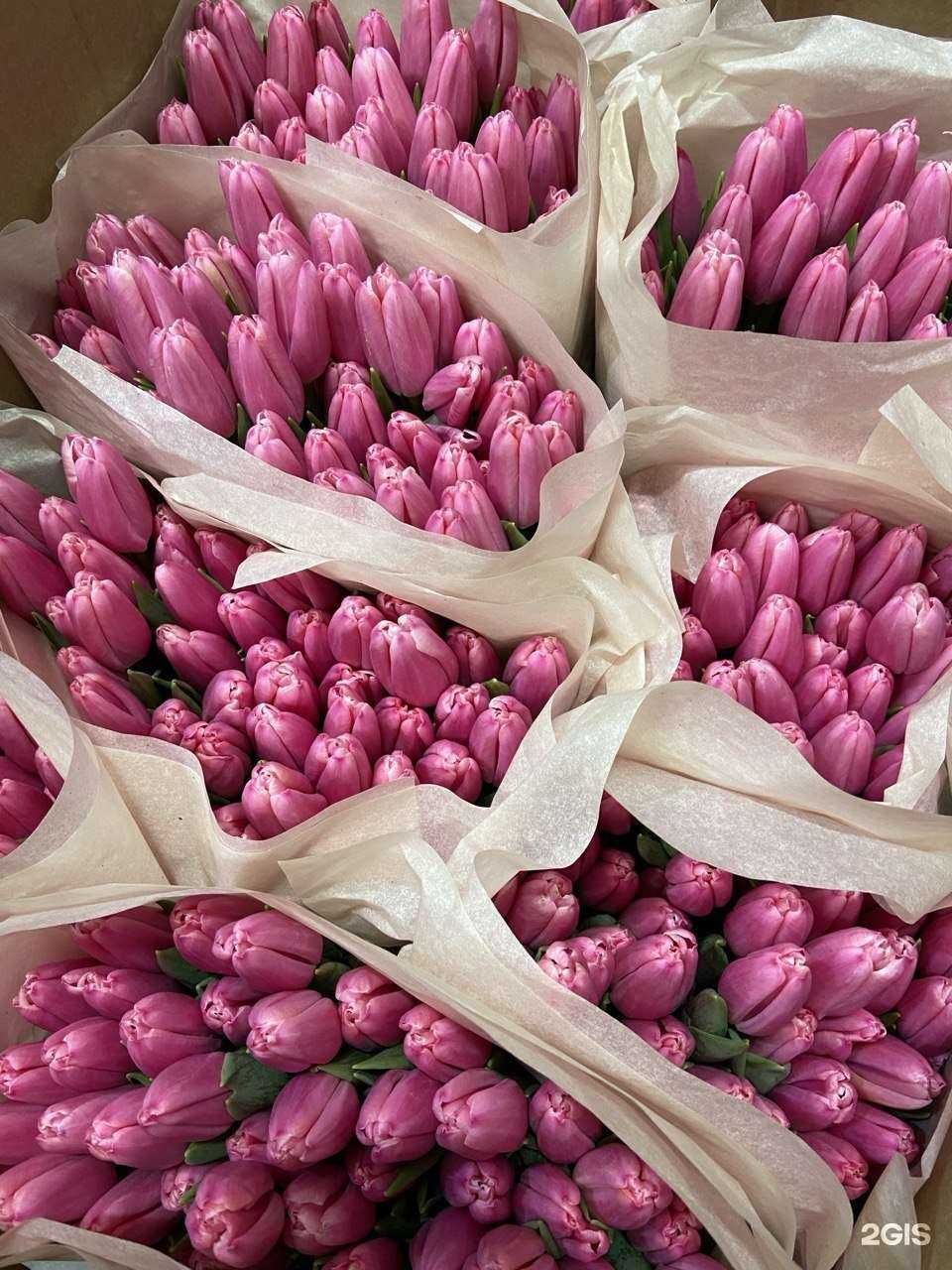 Отзывы на компанию Green line в Перми c фото