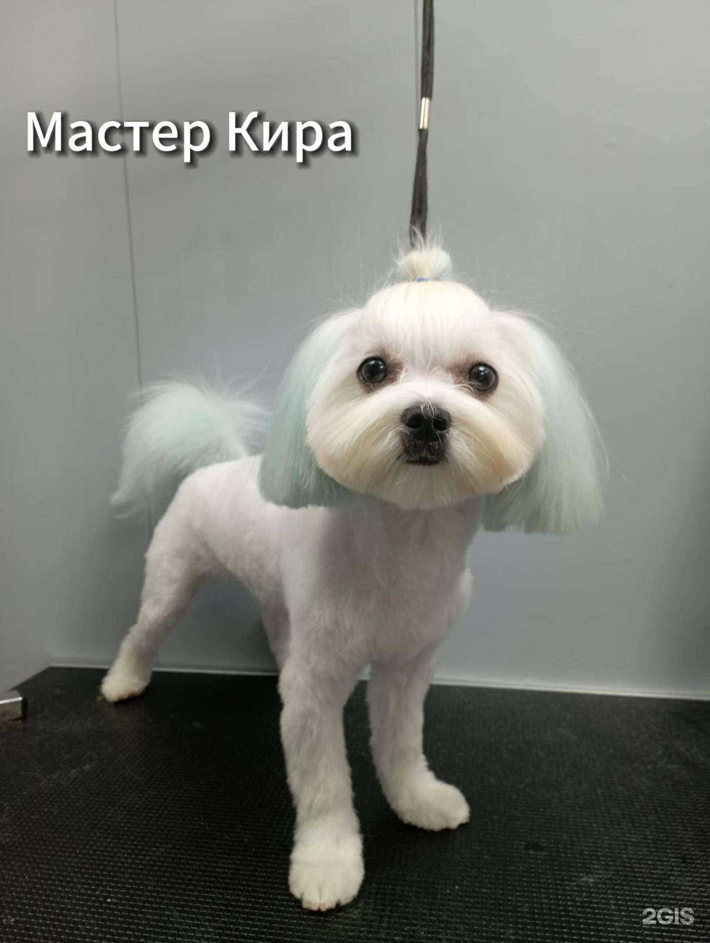 Отзывы на компанию Маруся в Новокузнецке c фото