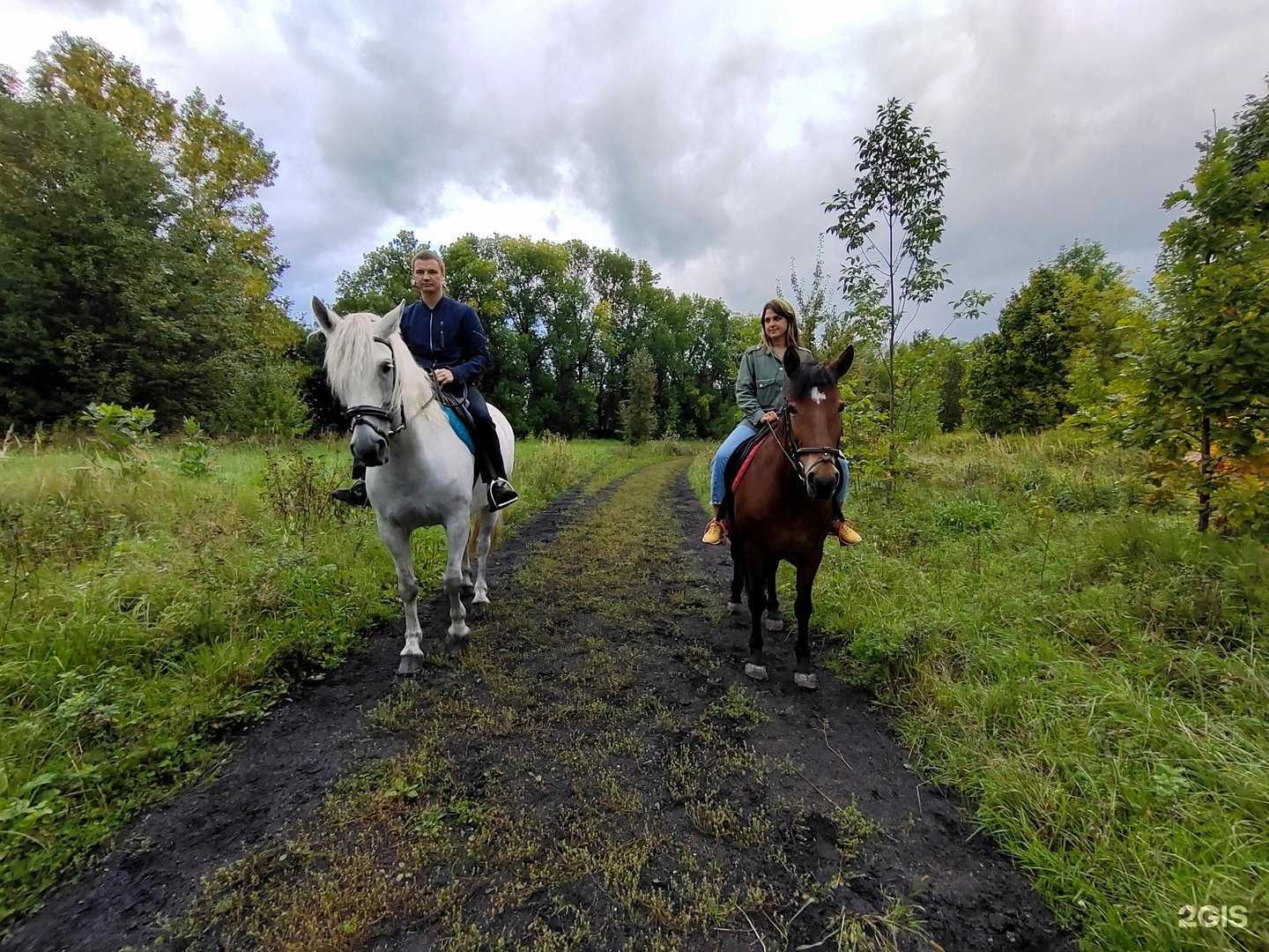 Отзывы на компанию Псковский ипподром в г. Псков c фото