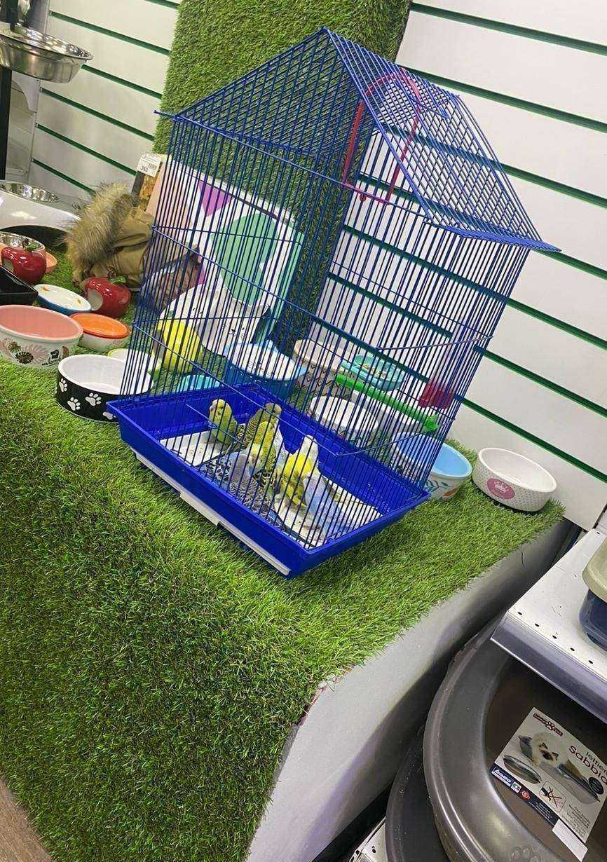 Отзывы на компанию Mr.Zoo Market в г. Ангарск c фото